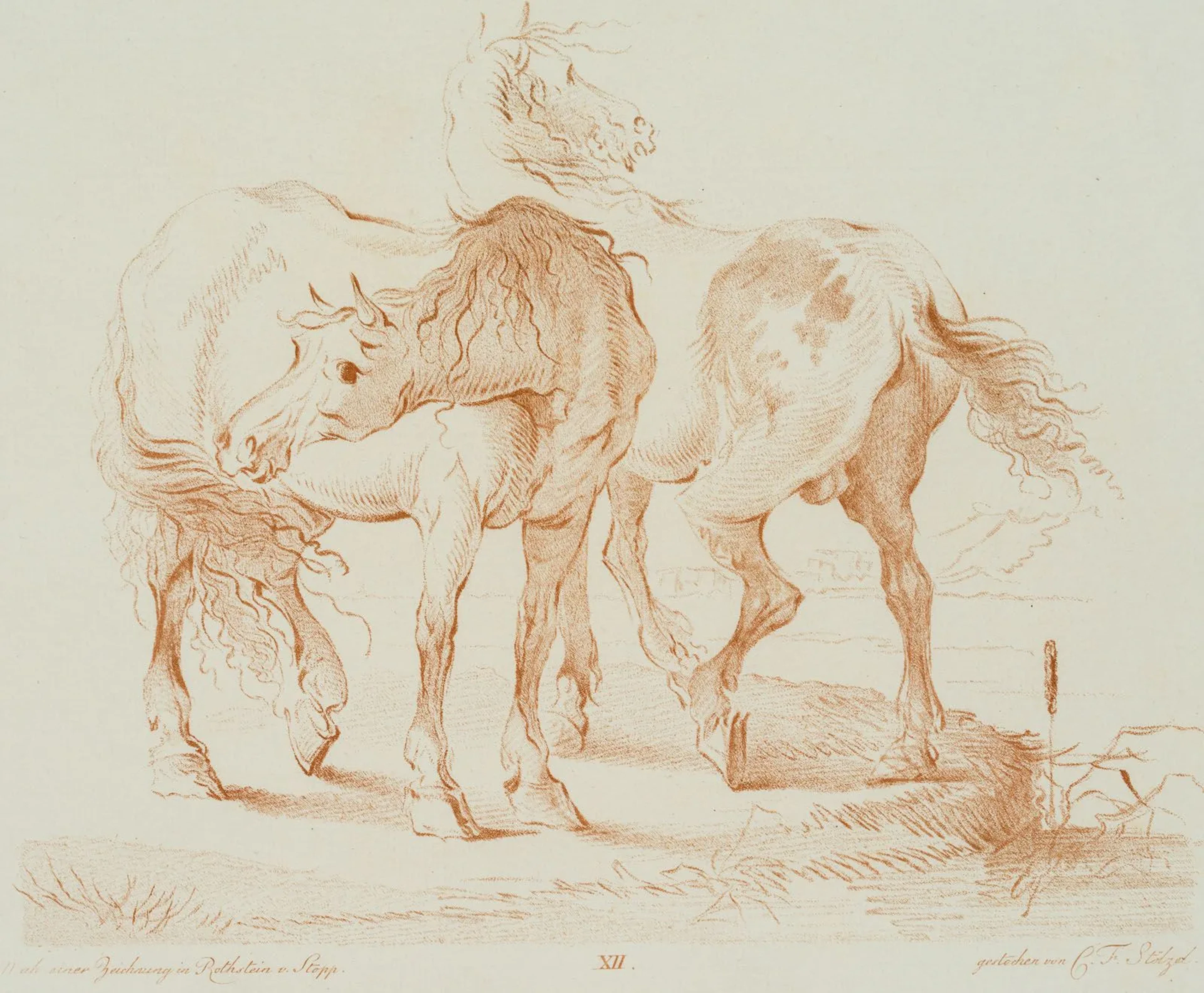 C. STÖLZEL (1751-1816), Horses in the pasture, Crayon manner Christian