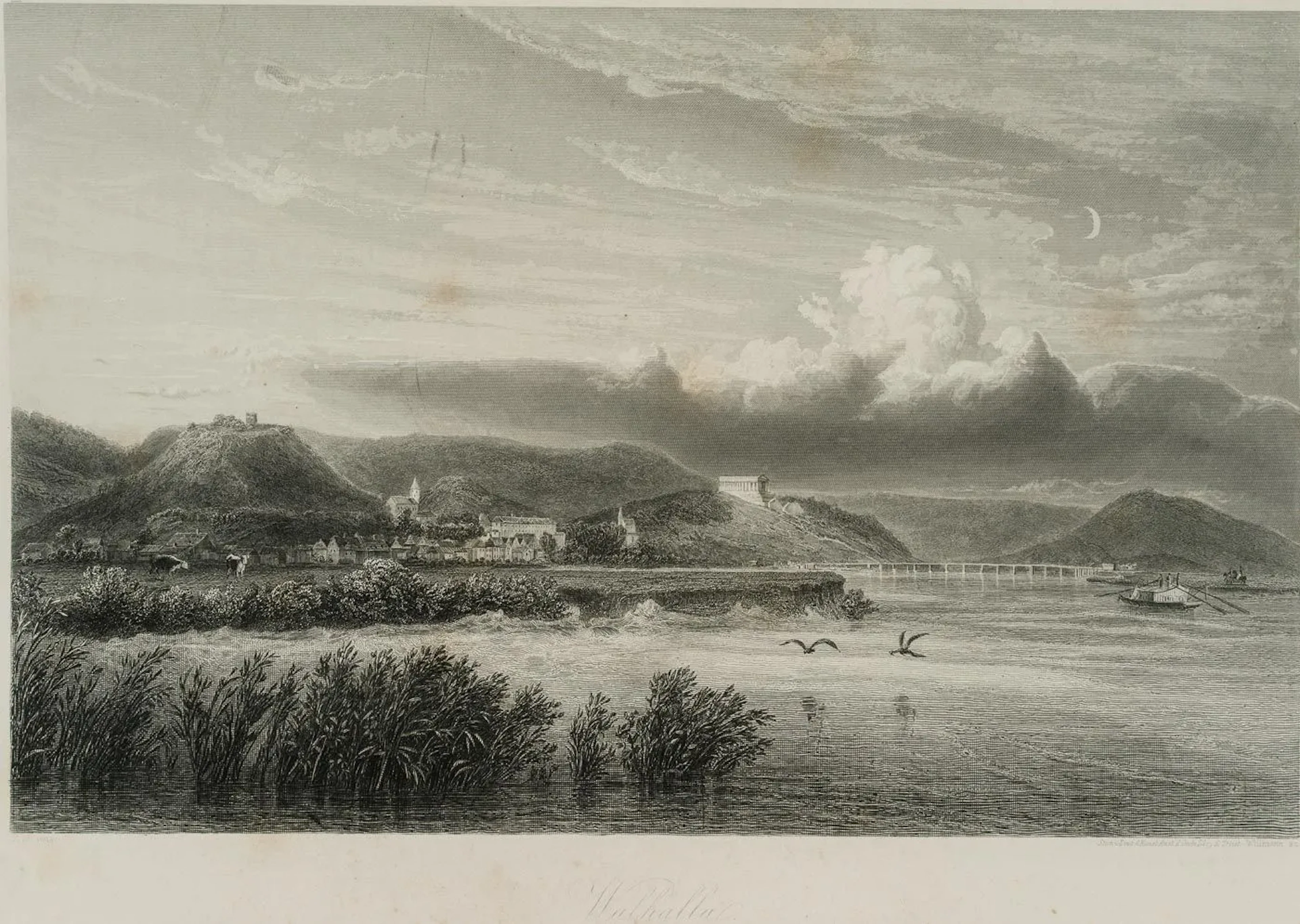 E. WILLMANN (*1820) after ALT (*1812), View of the Danube with a view