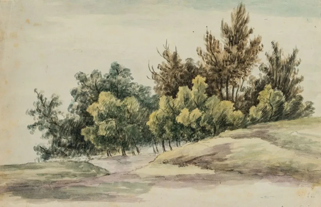 Unknown (19th century), A group of trees in the Prater meadows, around
