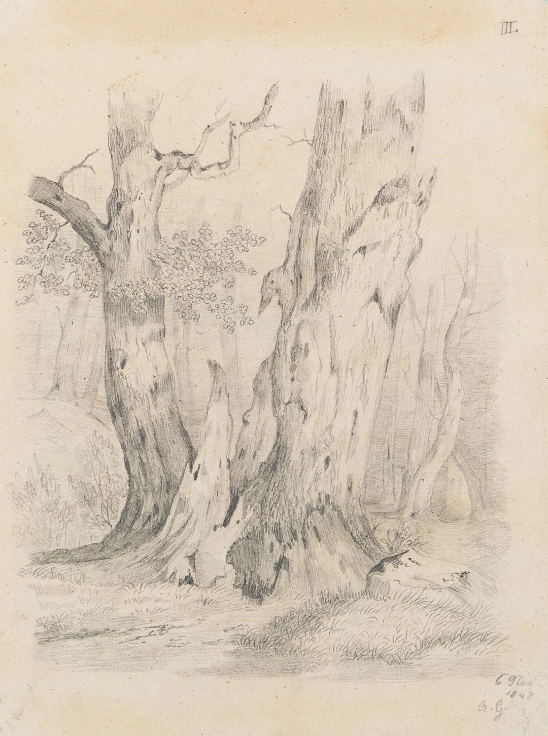 Unknown (19th century), A Pair of Trees with a Dead Tree, 1848, Unknown