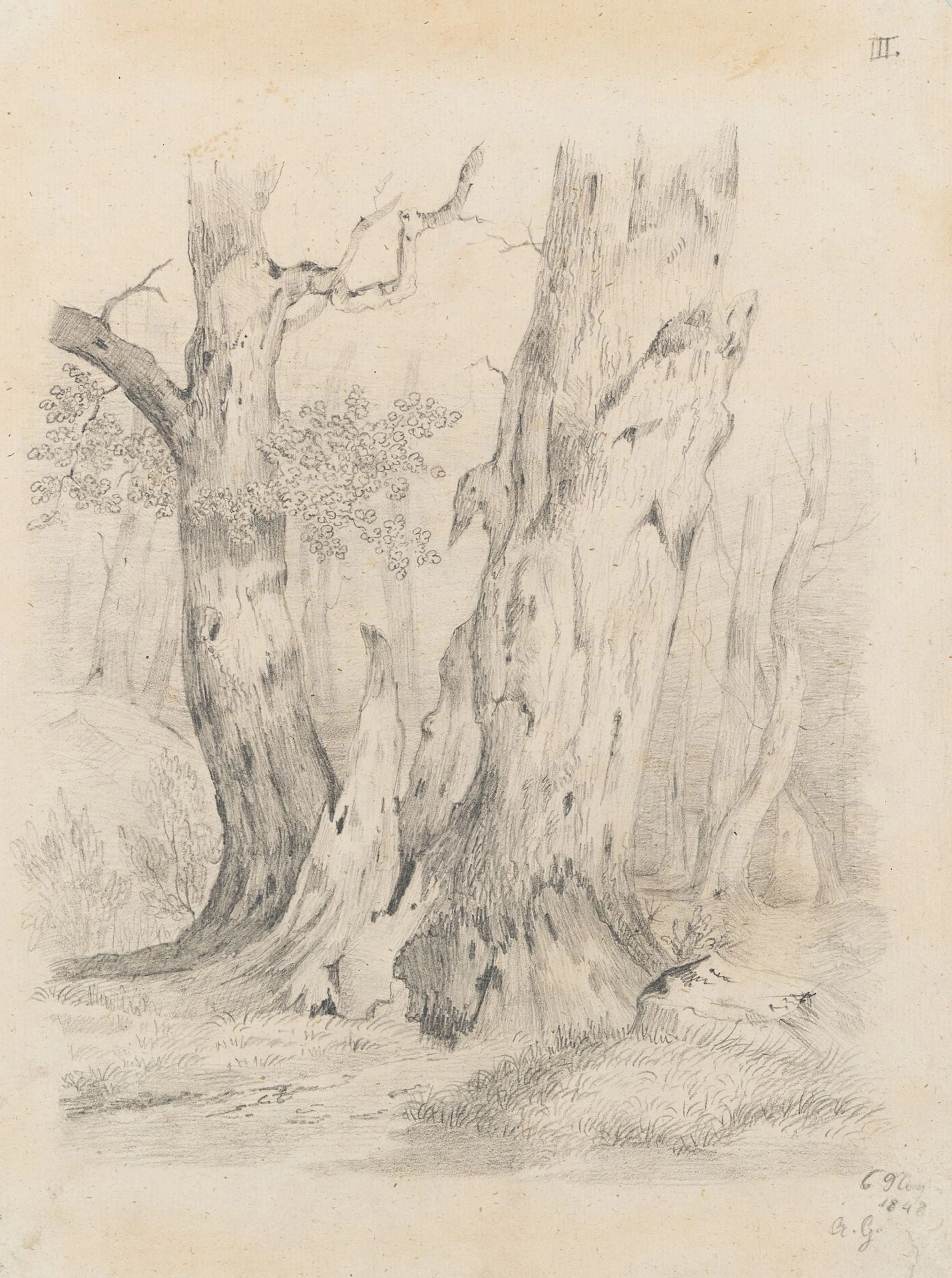Unknown (19th century), A Pair of Trees with a Dead Tree, 1848, Unknown