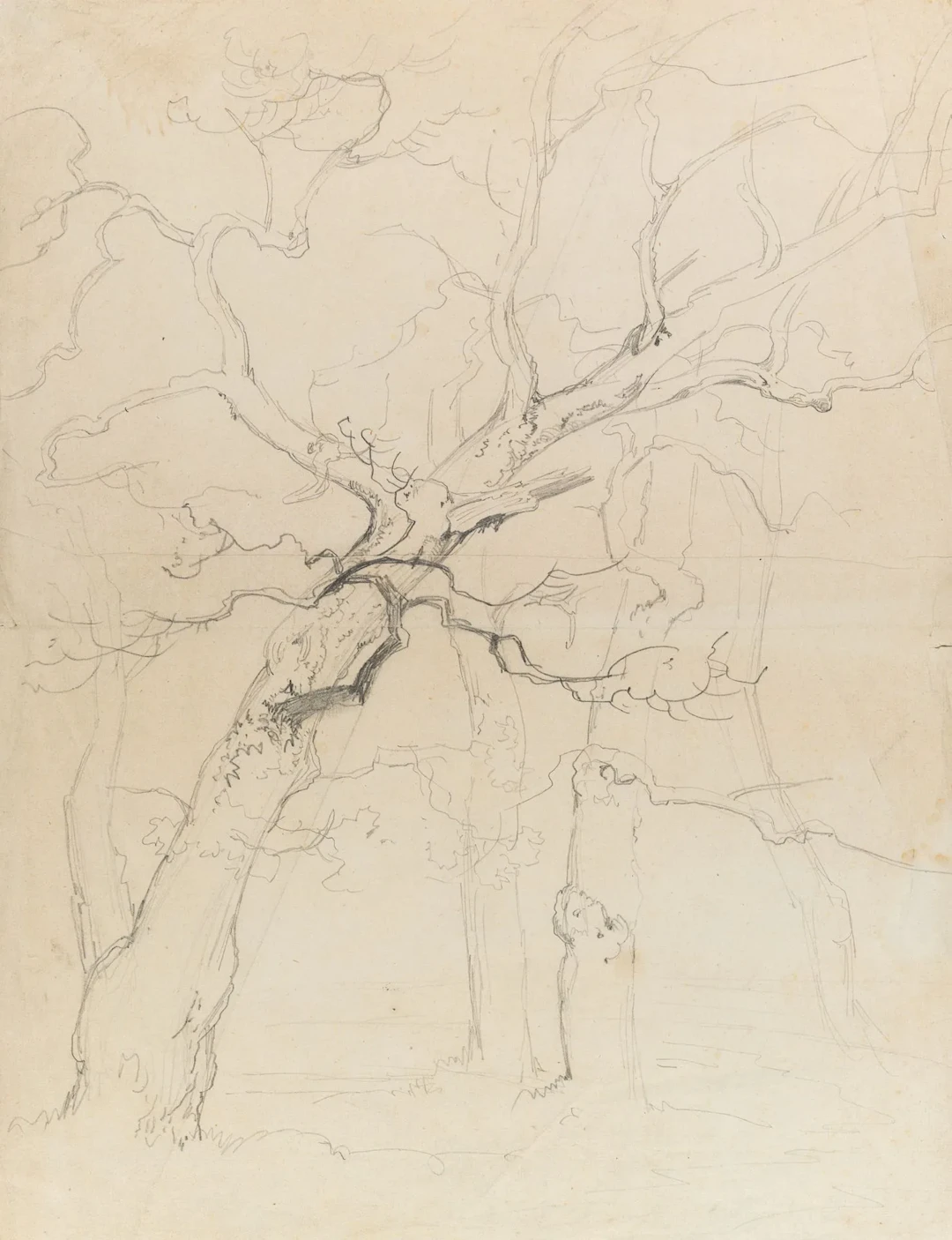 C. EBERT (1821–1885), Winter Tree Study, Pencil Carl Ebert (1821 Stuttgart