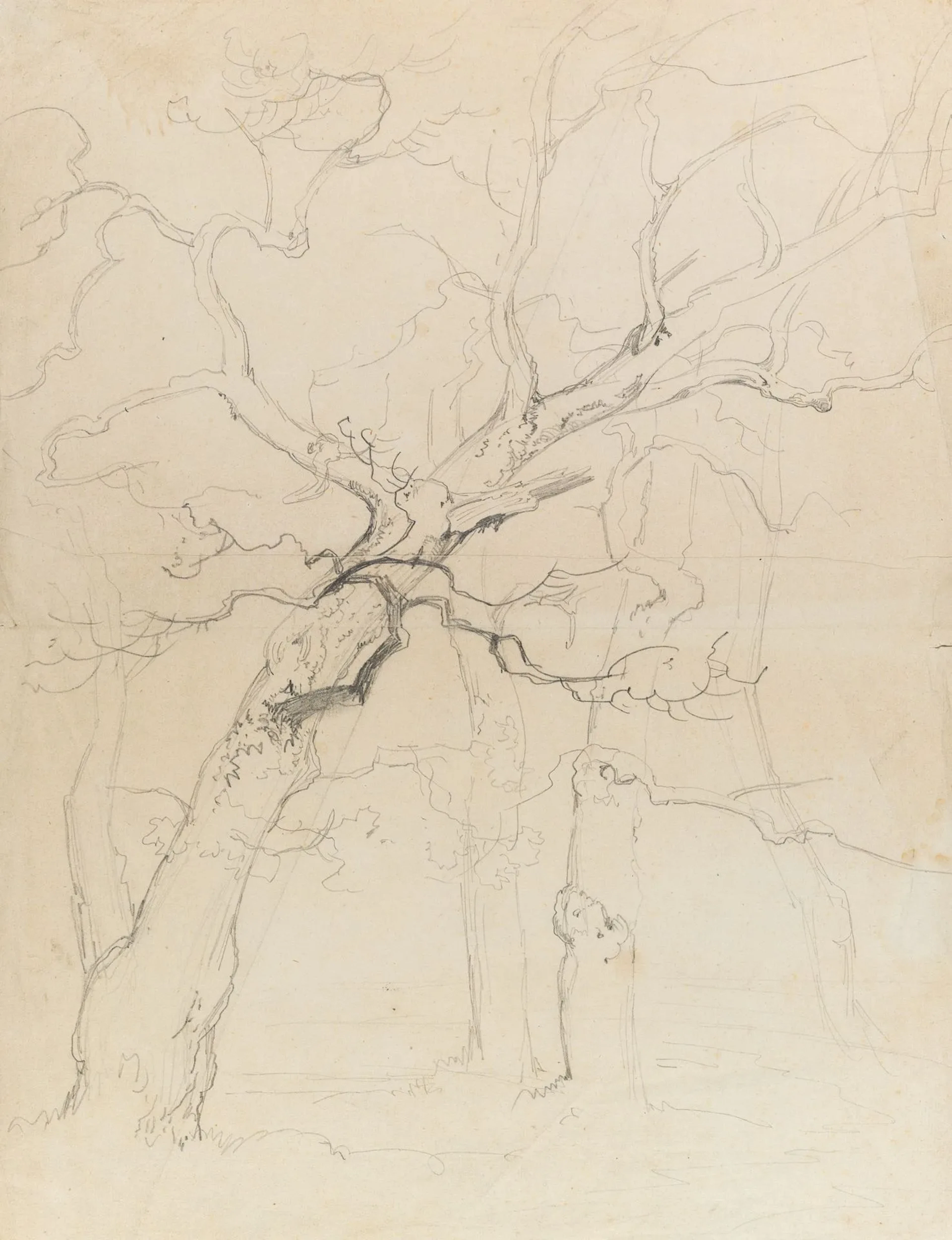 C. EBERT (1821–1885), Winter Tree Study, Pencil Carl Ebert (1821 Stuttgart