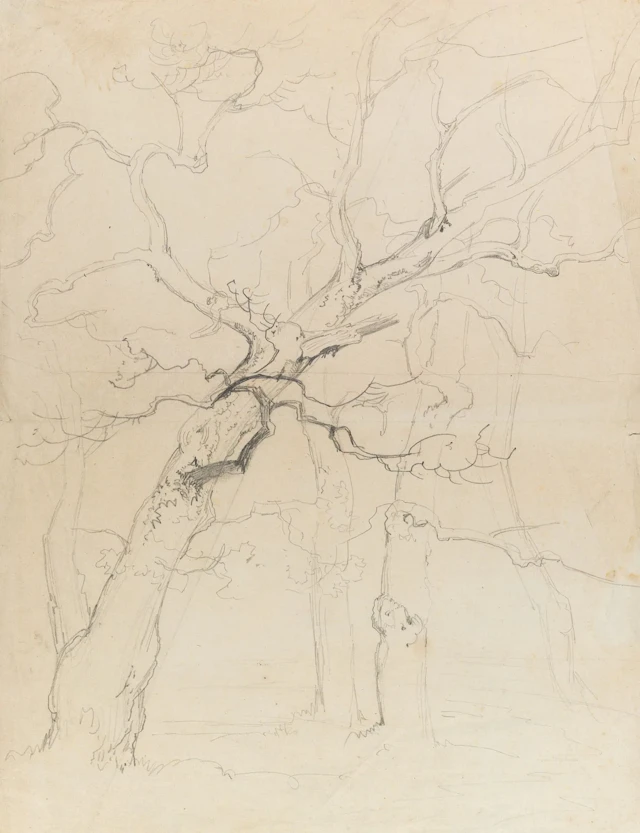 C. EBERT (1821–1885), Winter Tree Study, Pencil Carl Ebert (1821 Stuttgart