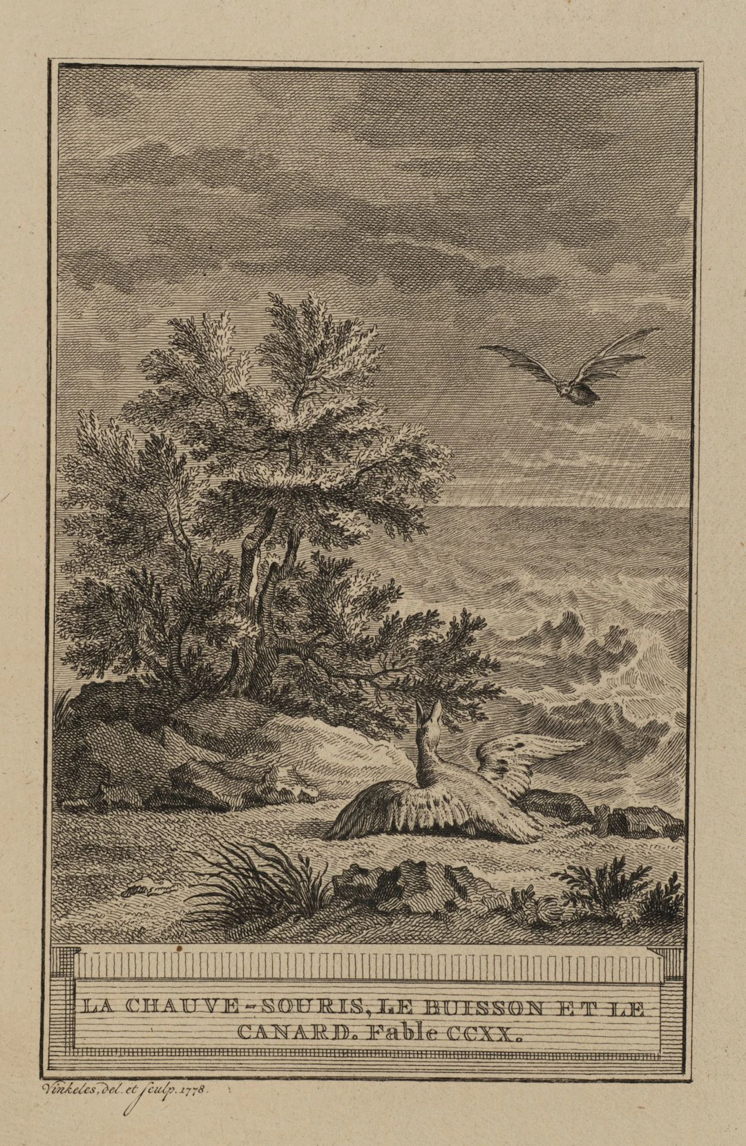 R. VINKELES (1741–1816), Bat, Bush, and Duck, 1778, Etching Reinier