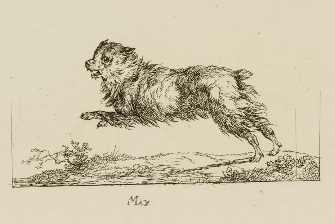 C. GEBAUER (1777–1831), Max. Jumping Dog, 1800, Etching Christian