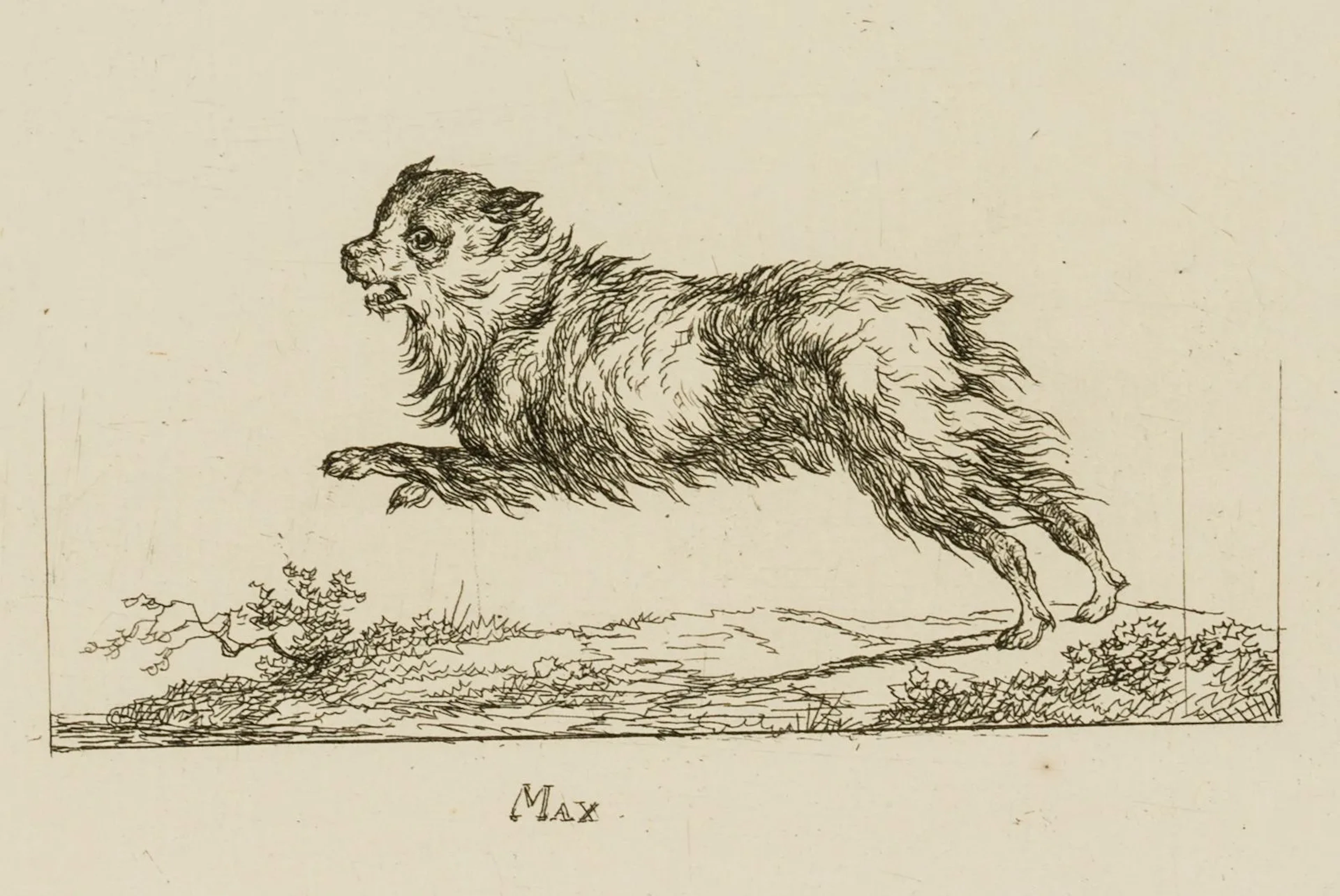 C. GEBAUER (1777–1831), Max. Jumping Dog, 1800, Etching Christian