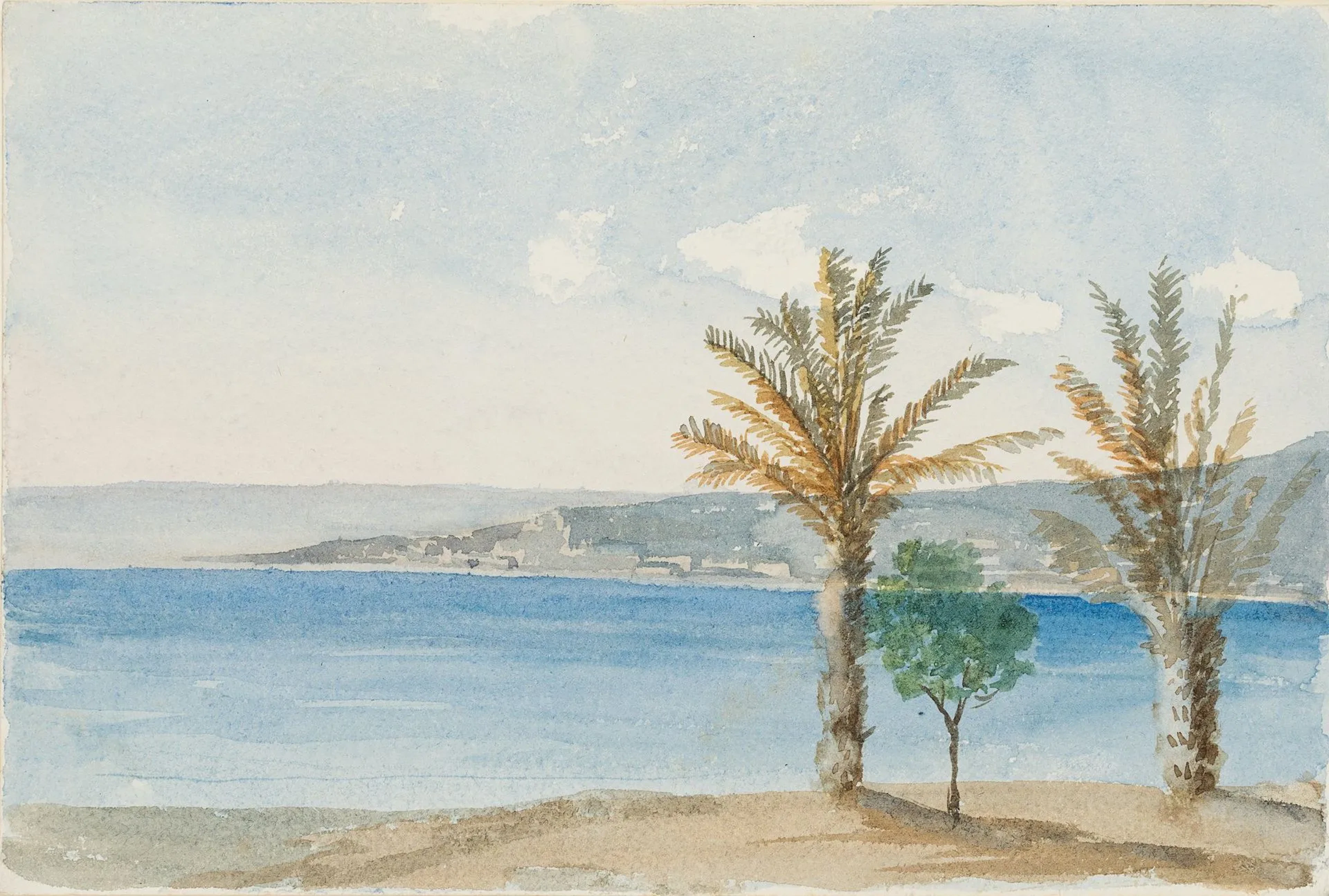 M. SAVIGNY (1831–1905), The Mediterranean Coast near Nervi, 1881