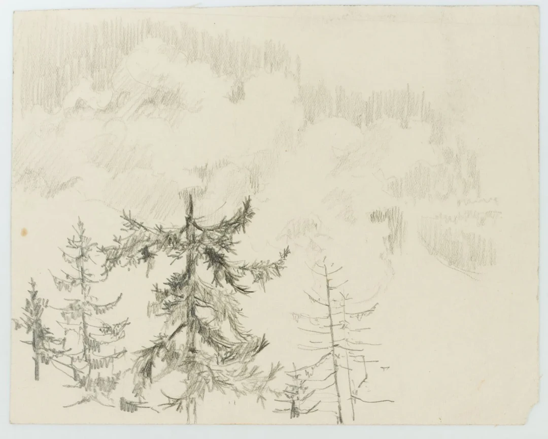 Unknown (20th), Alpine Landscape, Mixed Media Unknown (20th century):