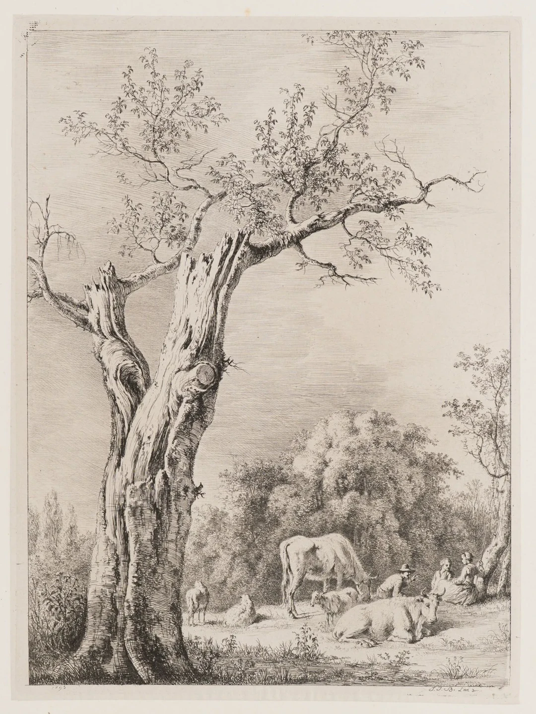 J. BOISSIEU (1736–1810), A Tree in Spring, 1795, Etching Jean Jacques