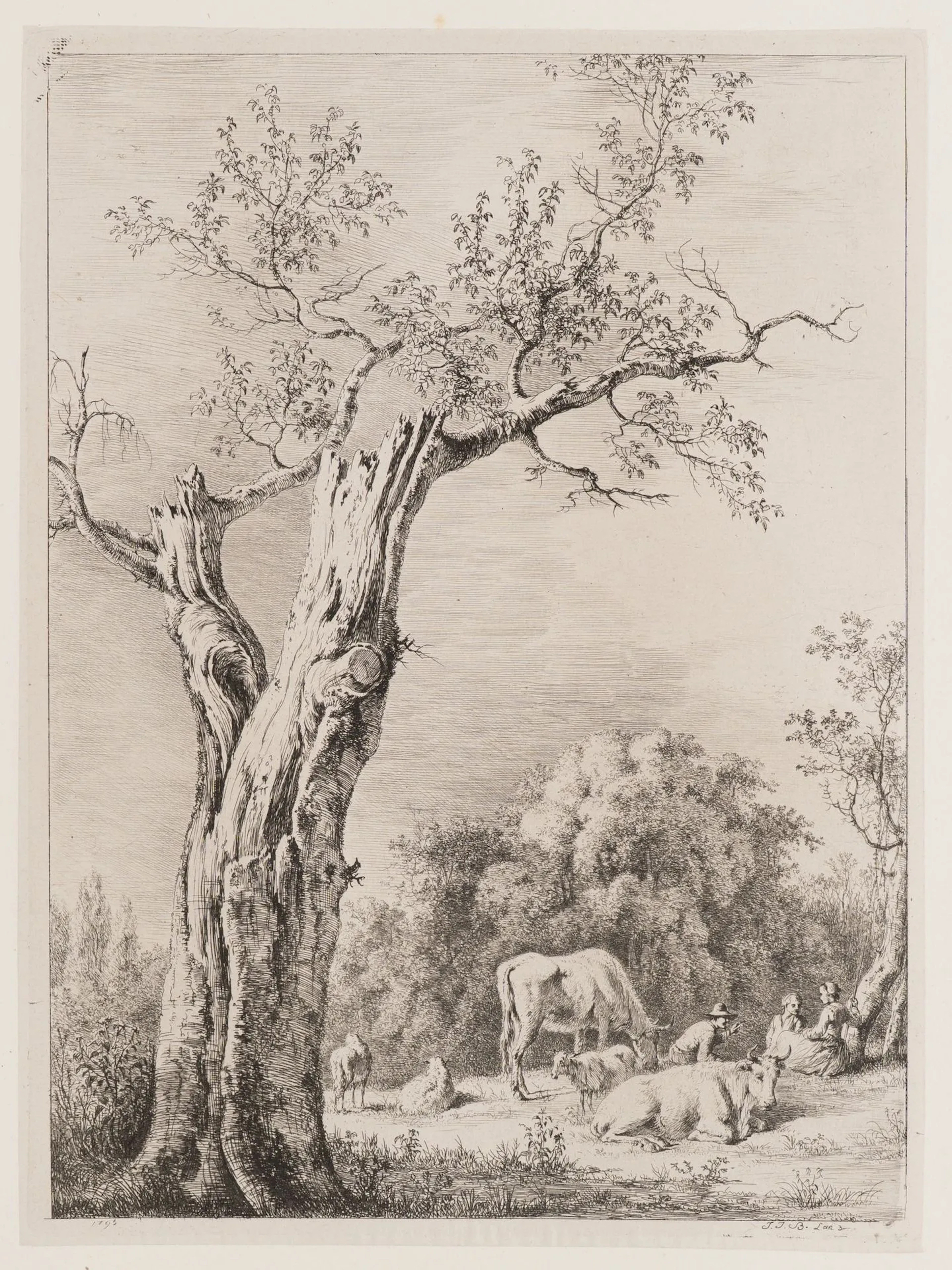 J. BOISSIEU (1736–1810), A Tree in Spring, 1795, Etching Jean Jacques