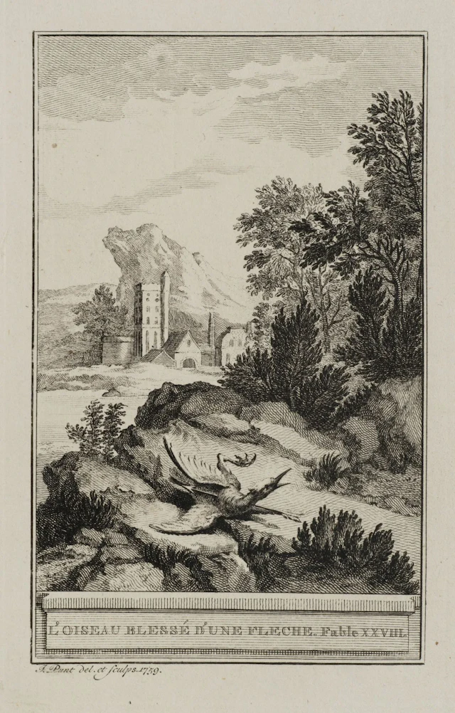 J. PUNT (1711–1779), An Injured Bird in a Landscape, 1759, etching