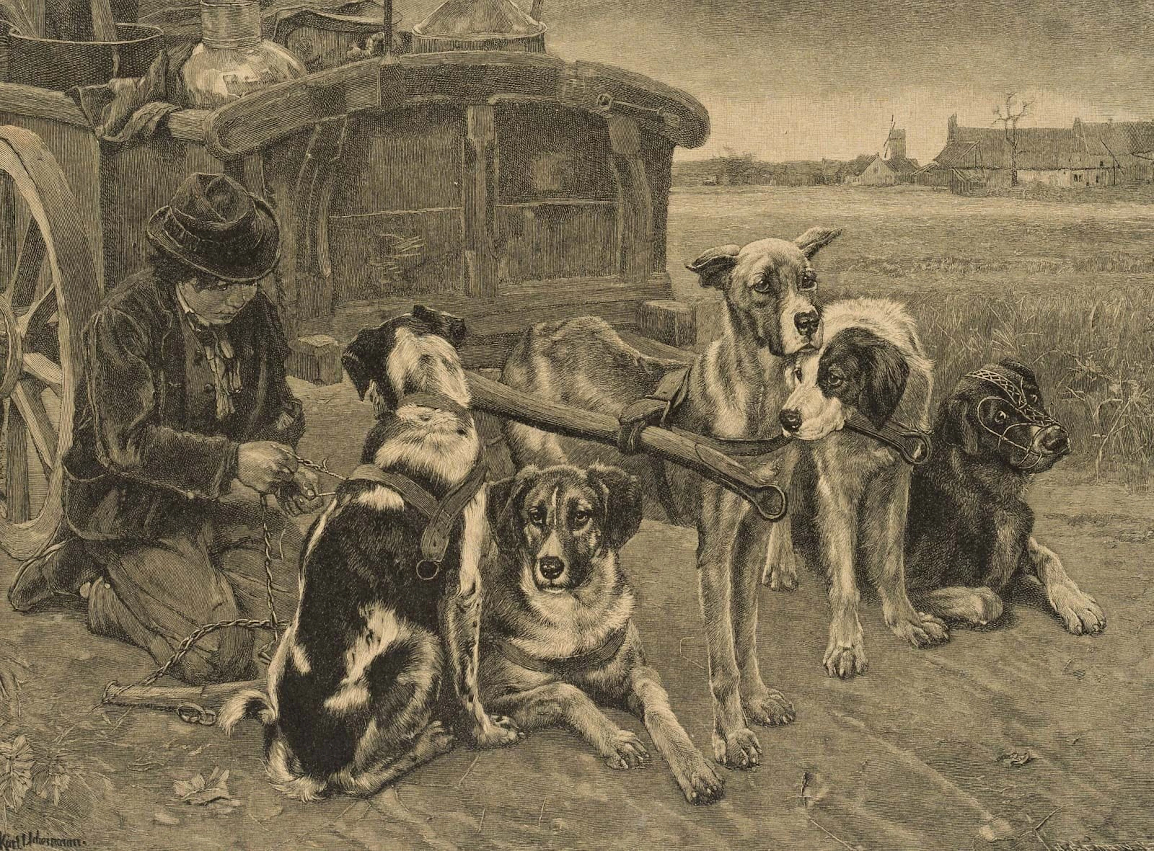 K. UCHERMANN (*1855), Out and About Early, 1908, Woodcut Karl Uchermann