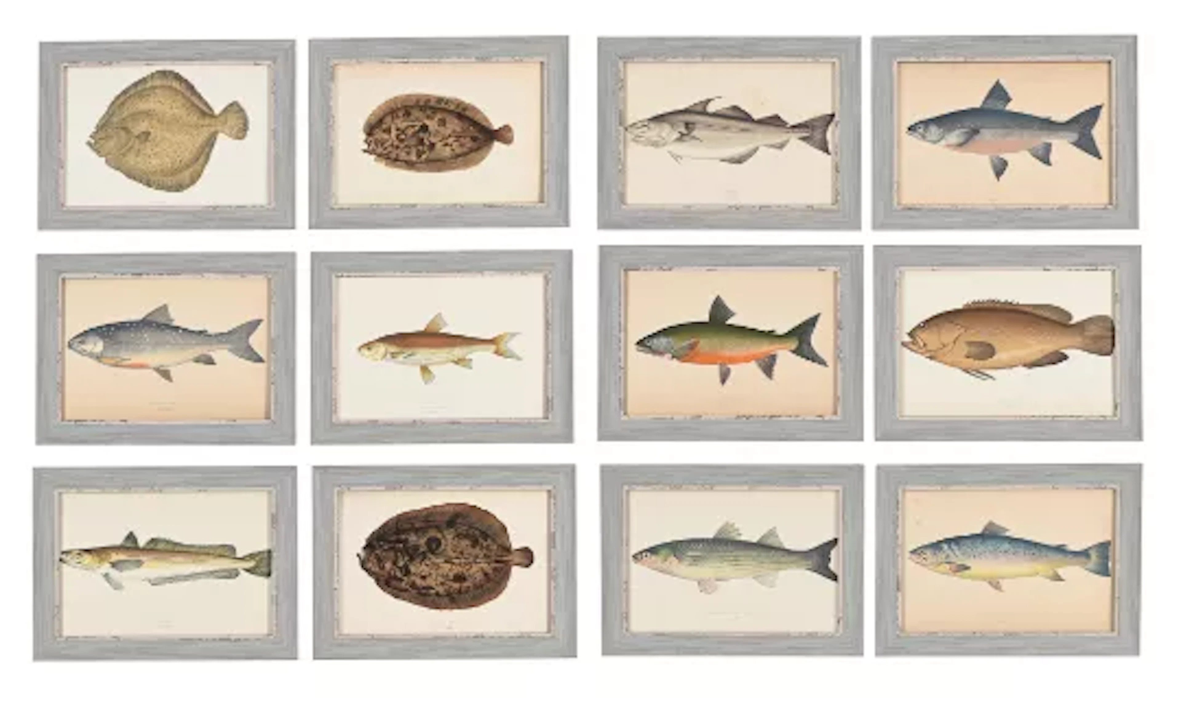 AFTER JONATHAN CROUCH, A SET OF TWELVE PRINTS OF ILLUSTRATIONS FROM