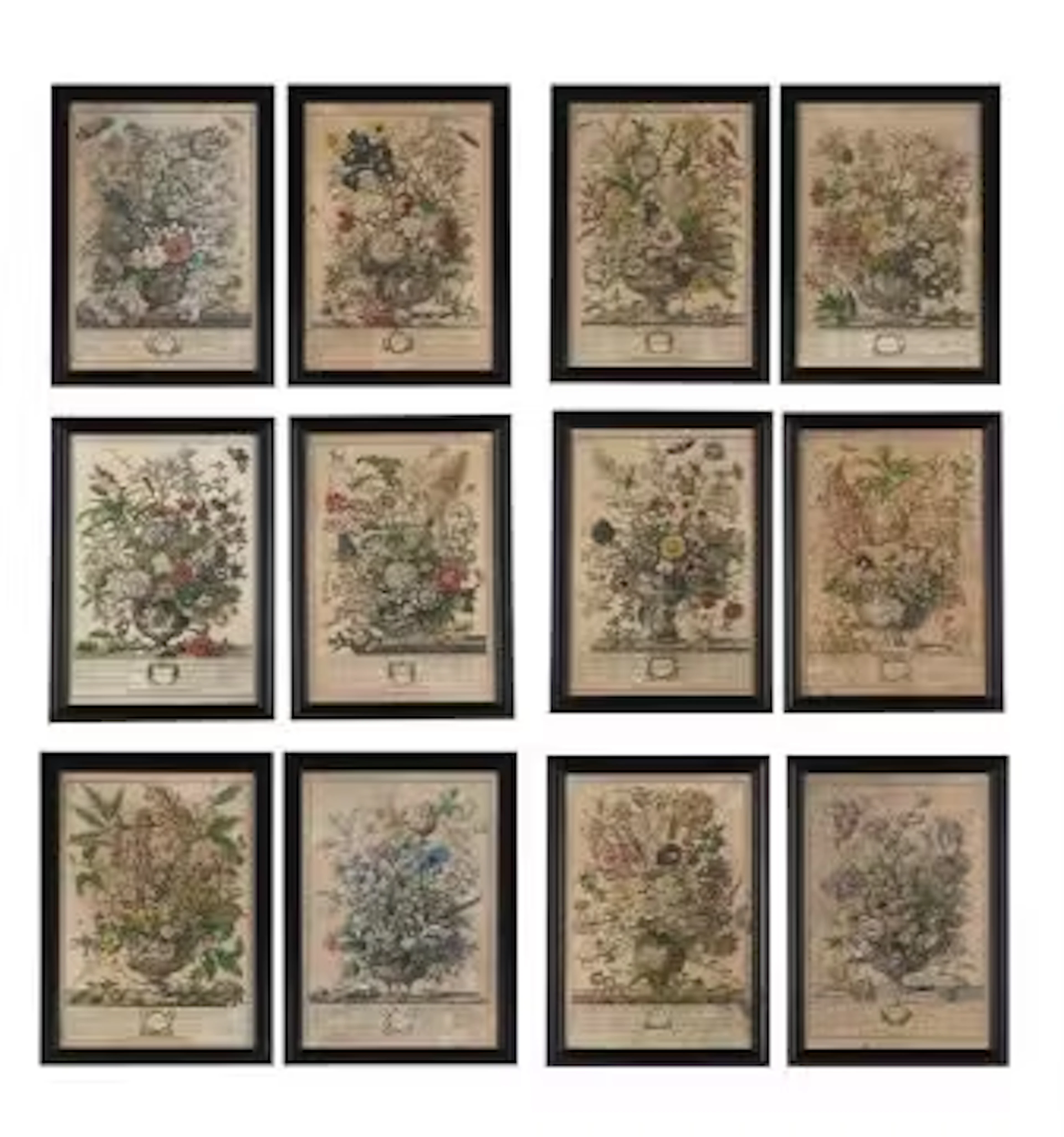 JOHN BOWLES AFTER PIETER CASTEELS, TWELVE MONTHS OF FLOWERS