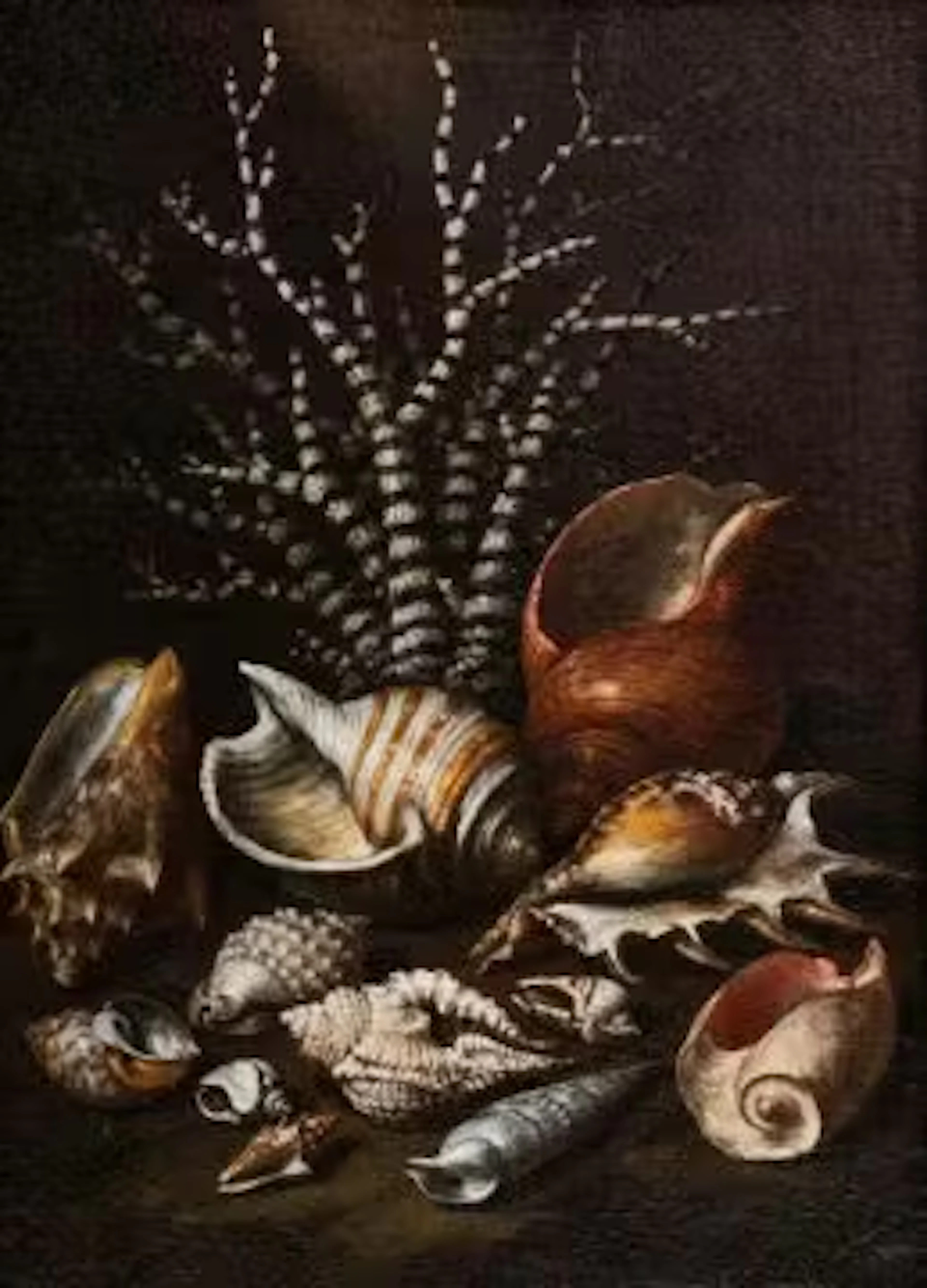 PAOLO PORPORA (ITALIAN 1617-1673), STILL LIFE OF SHELLS AND CORAL
