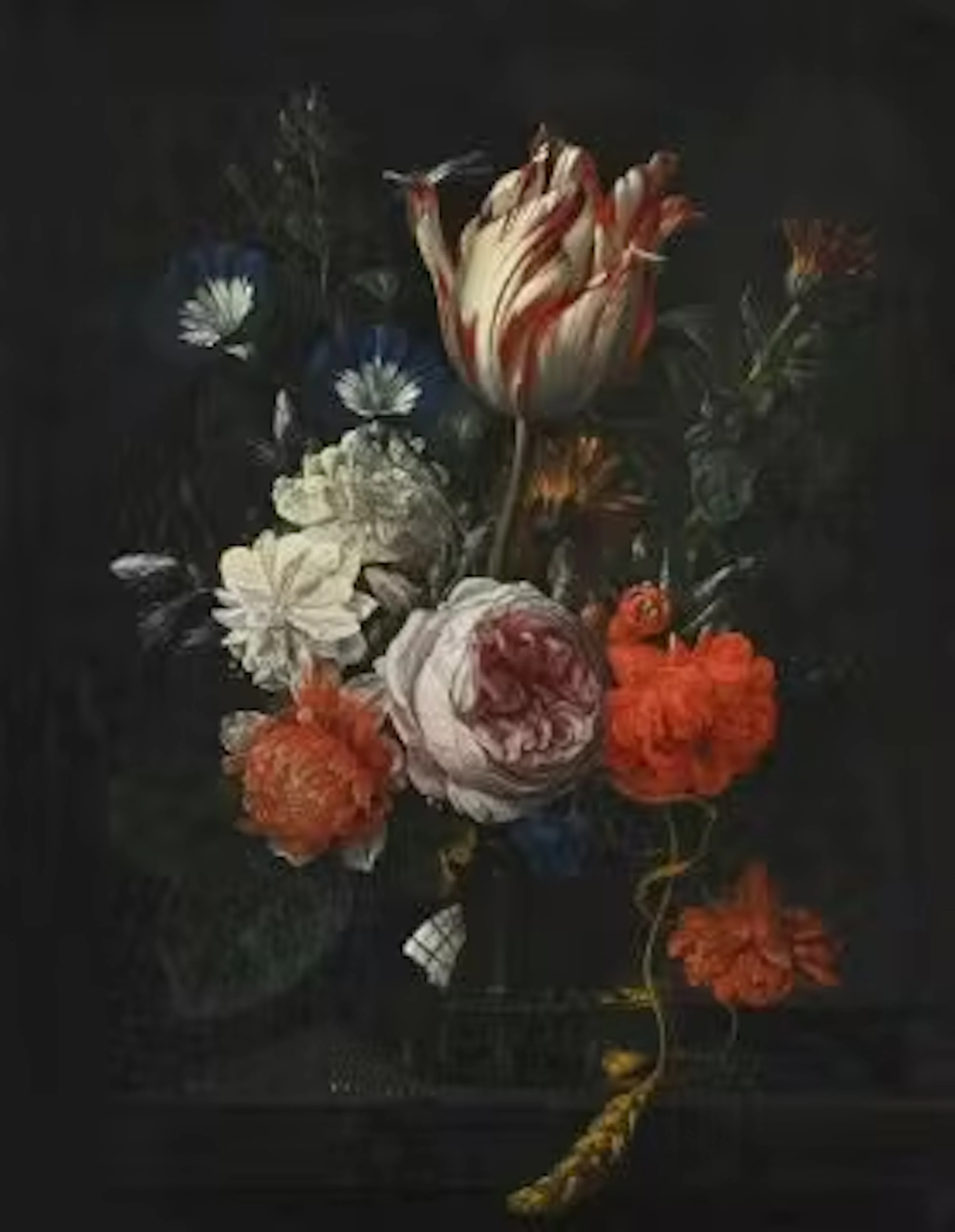 NICOLAES VAN VERENDAEL (FLEMISH 1640 - 1691), ROSES, A TULIP, MORNING