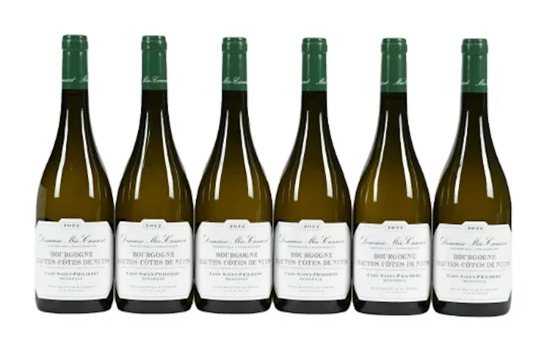 2022 Domaine Meo Camuzet, Bourgogne, Hautes Cotes de Nuits Clos Saint-Philibert