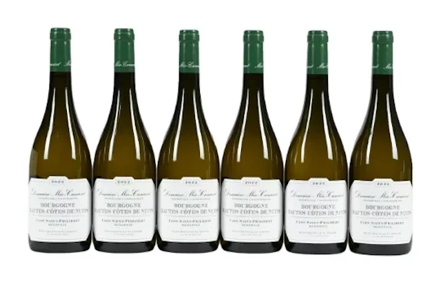 2022 Domaine Meo Camuzet, Bourgogne, Hautes Cotes de Nuits Clos Saint-Philibert