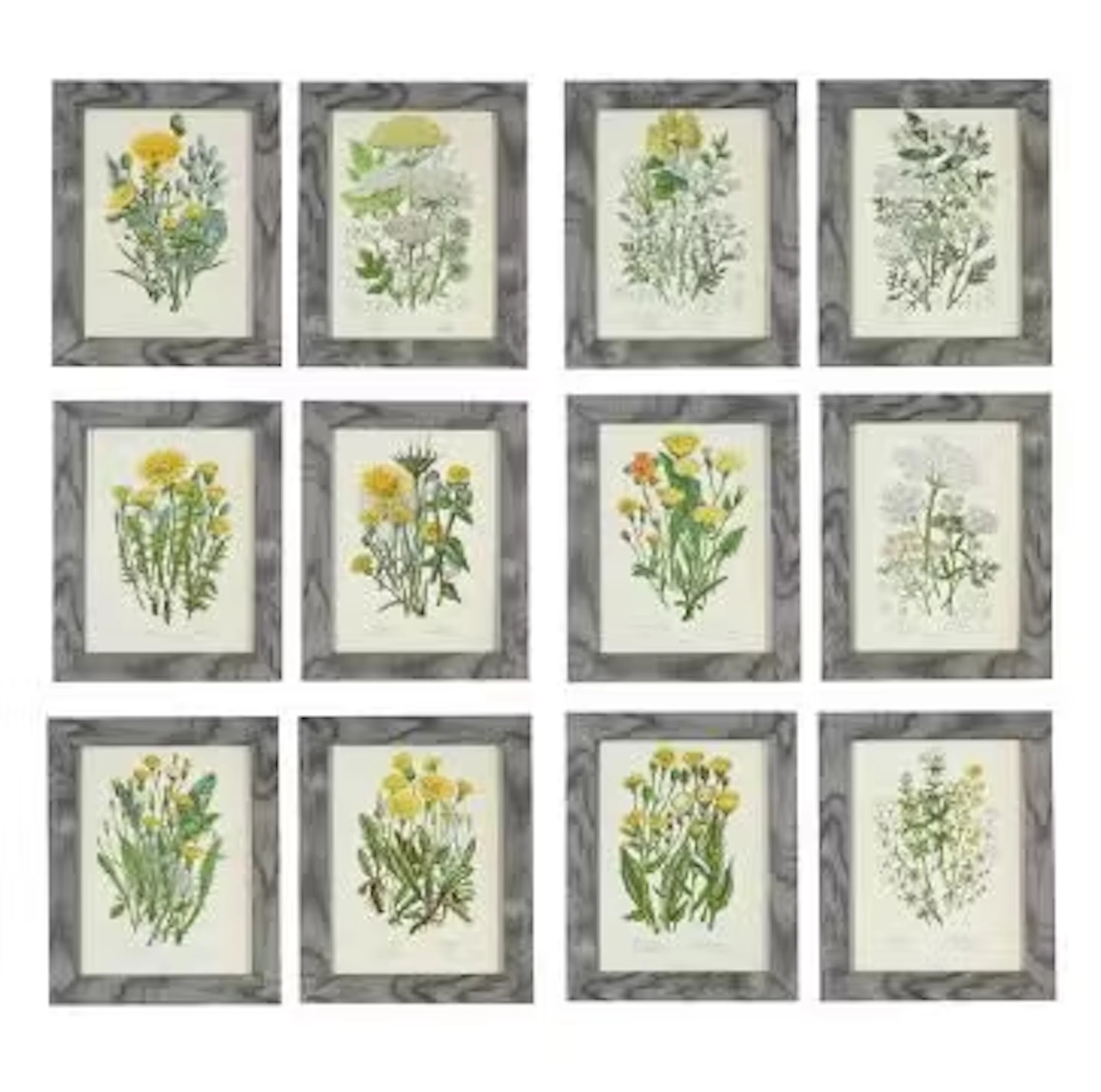 AFTER ANNE PRATT, TWELVE PRINTS AFTER ILLUSTRATIONS FROM THE FLOWERING PLANTS