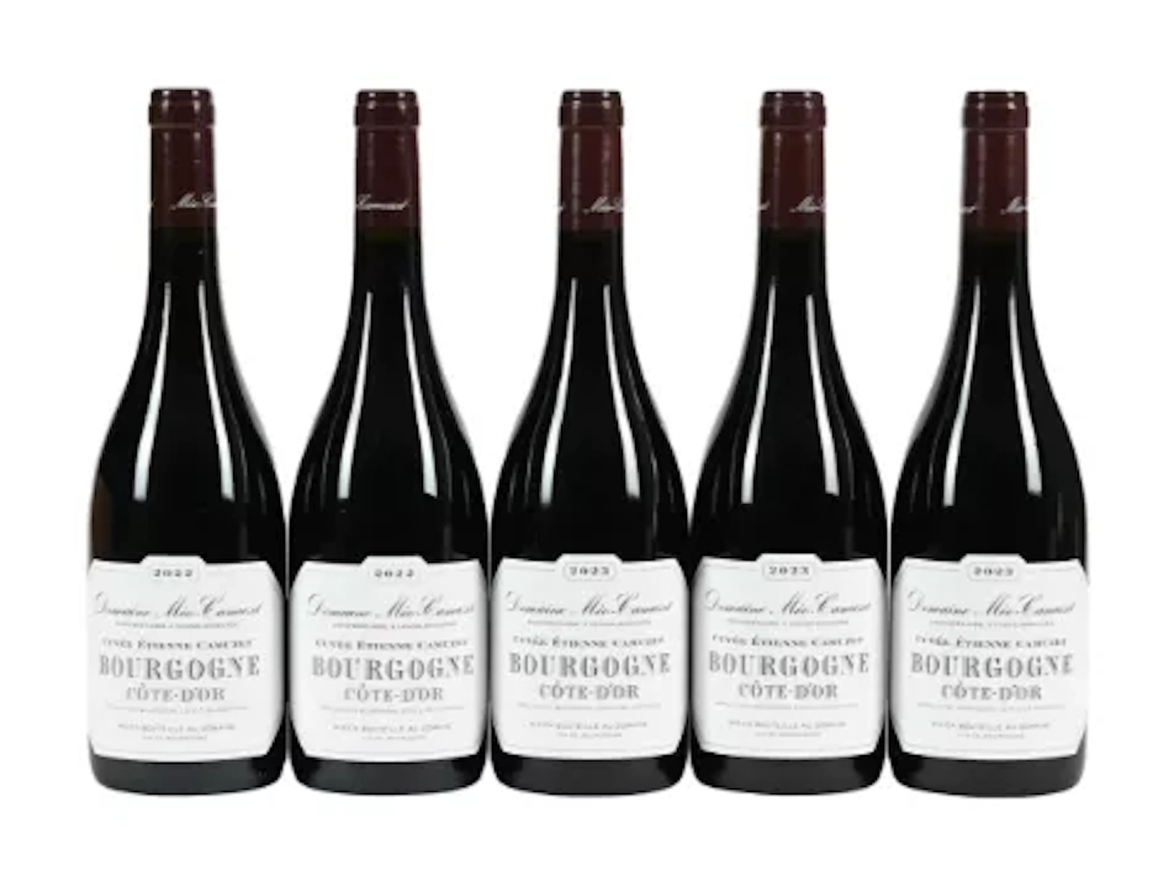 2022/2023 Domaine Meo Camuzet, Bourgogne, Cote d'Or Cuvee Etienne