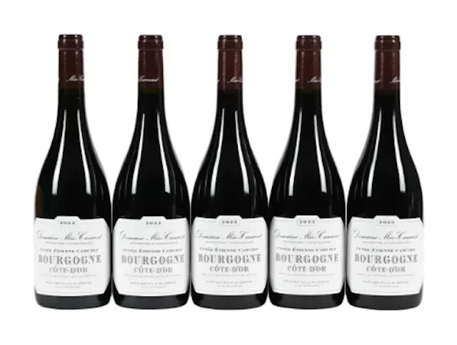 2022/2023 Domaine Meo Camuzet, Bourgogne, Cote d'Or Cuvee Etienne