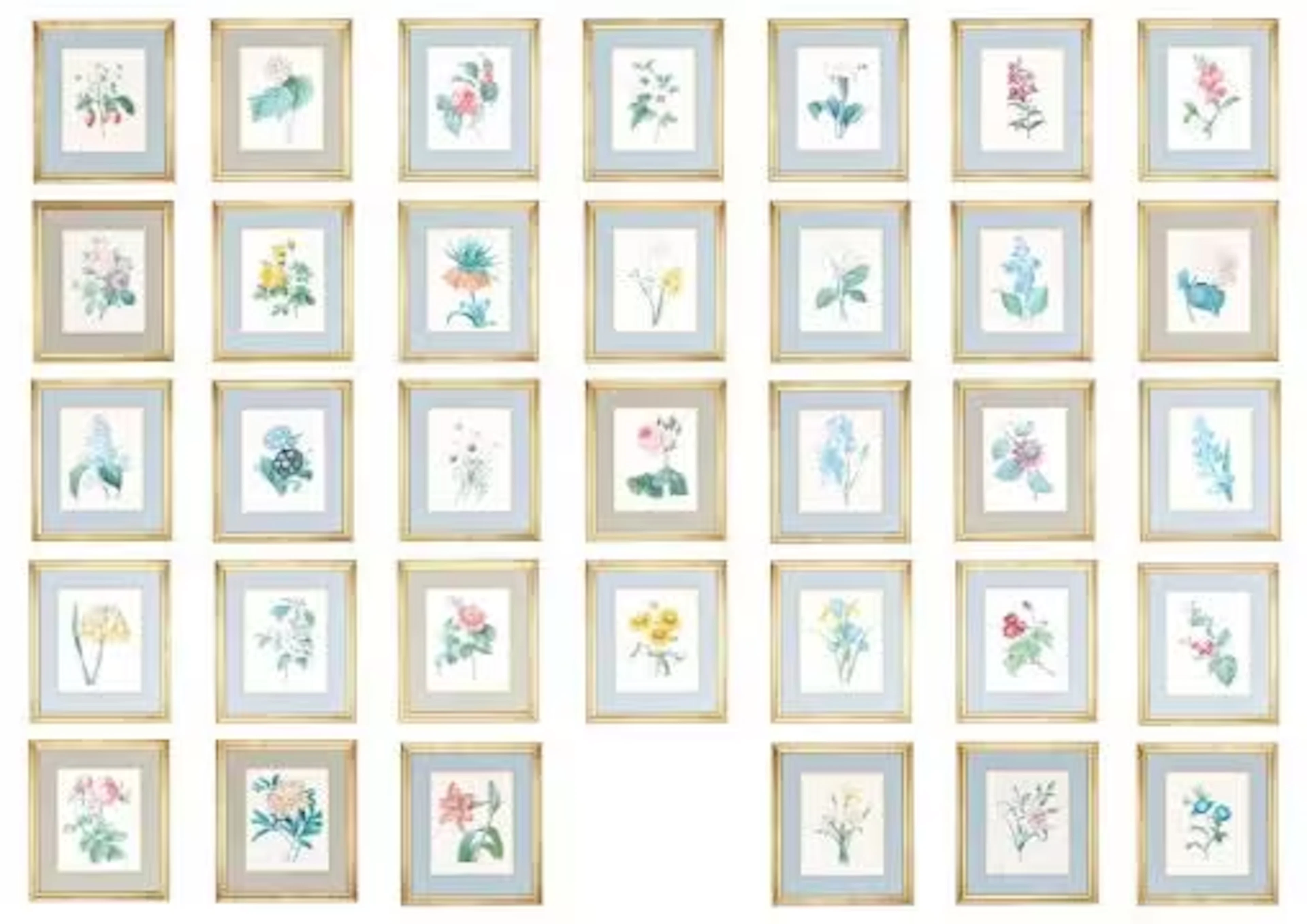 AFTER PIERRE-JOSEPH REDOUTE, SET OF THIRTY-FOUR BOTANICAL ENGRAVINGS