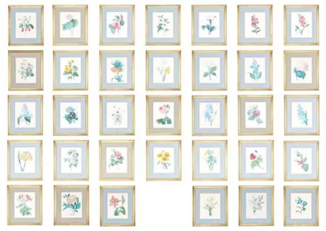 AFTER PIERRE-JOSEPH REDOUTE, SET OF THIRTY-FOUR BOTANICAL ENGRAVINGS