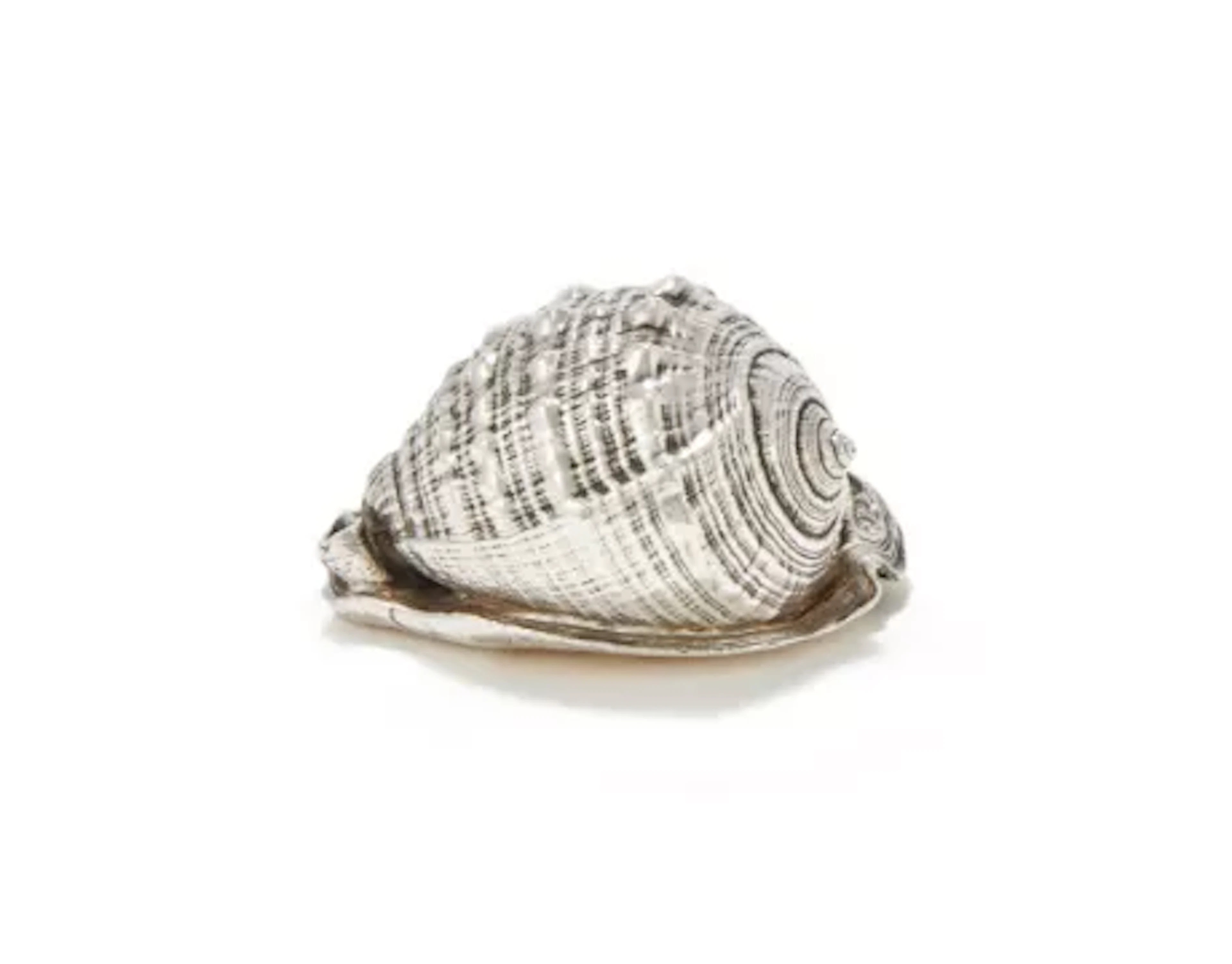 MARIO BUCCELLATI, A SILVER PLATED CONCH SHELL, 20TH CENTURY
