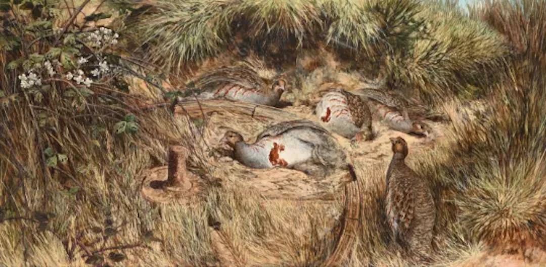 λ KEN TURNER (BRITISH 1937 - 2025), PARTRIDGES