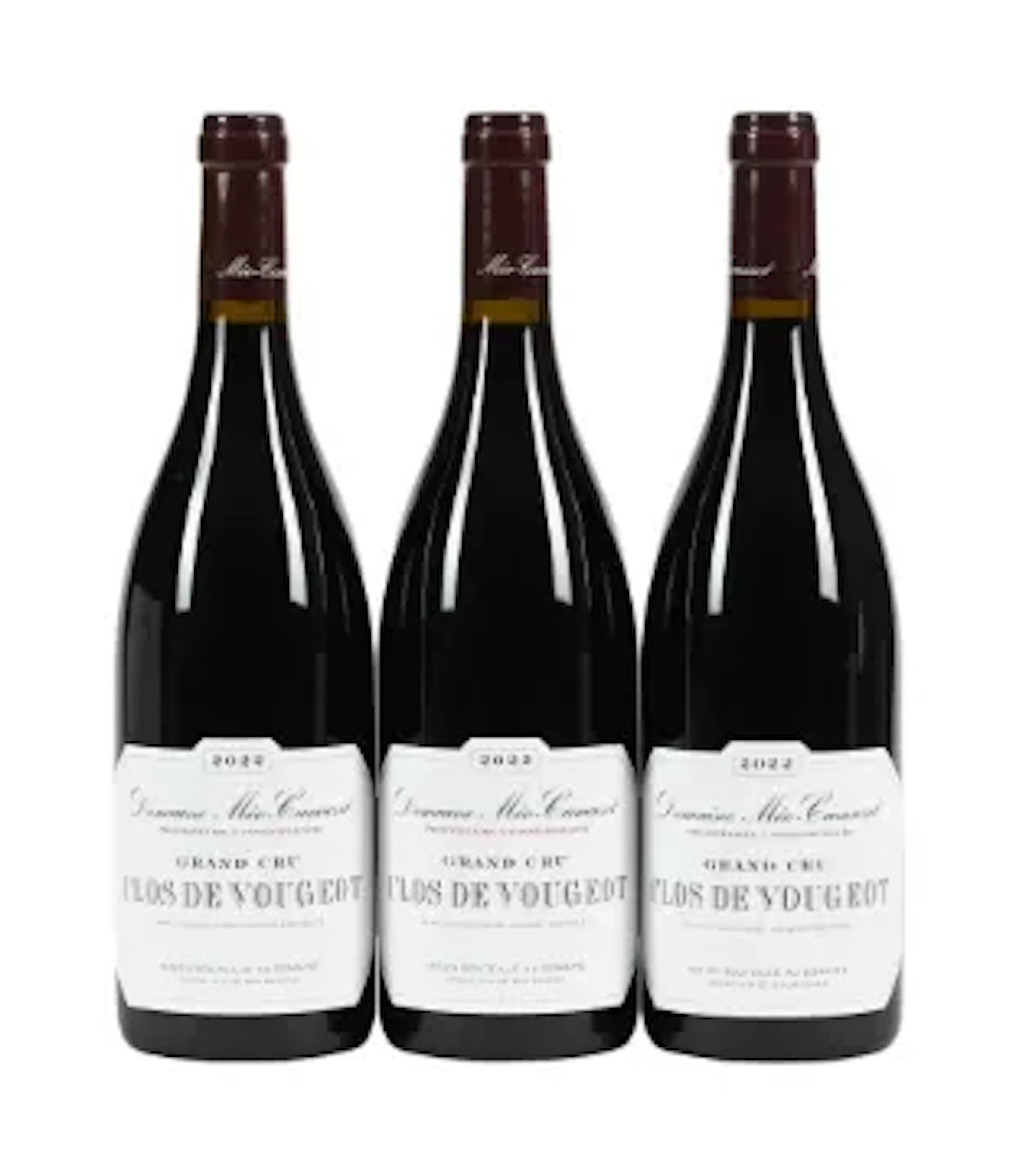 2022 Domaine Meo Camuzet, Clos de Vougeot Grand Cru