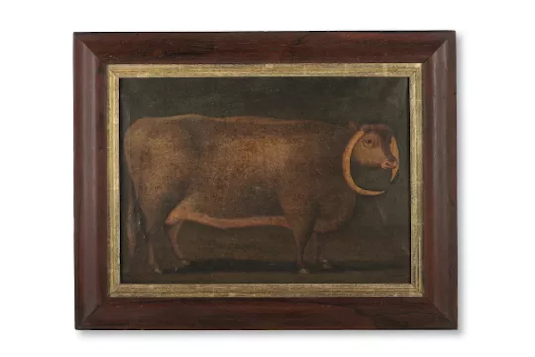 ENGLISH SCHOOL (19TH CENTURY), A LONGHORN BULL