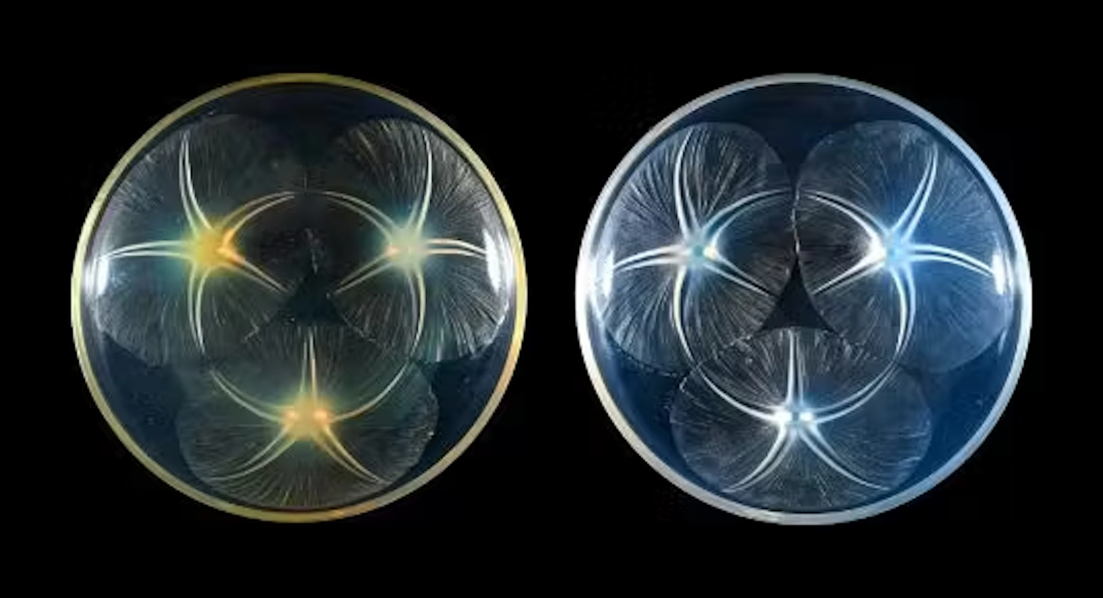 RENÉ LALIQUE (FRENCH, 1860-1945), TWO 'VOLUBILIS' BOWLS; DESIGNED