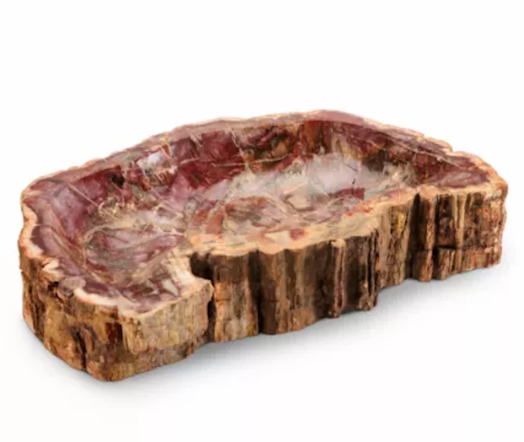 A FOSSILISED TREE ROOT BOWL, 20TH CENTURY