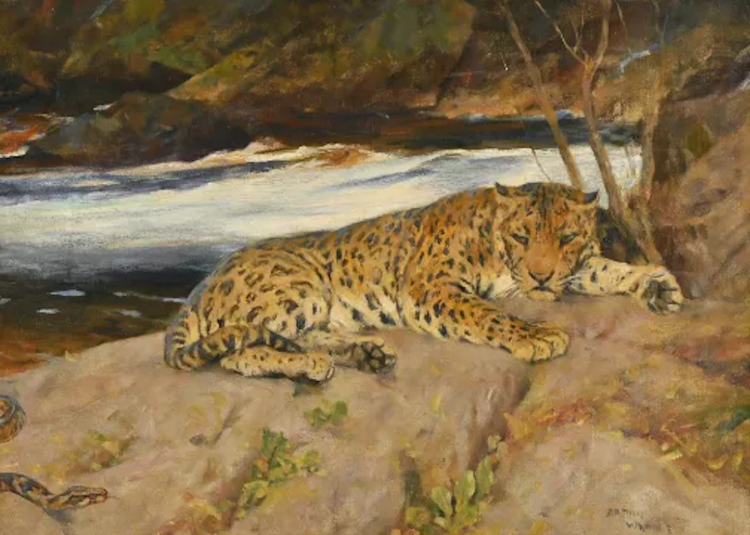 ARTHUR WARDLE (BRITISH 1864-1949), LEOPARD RESTING