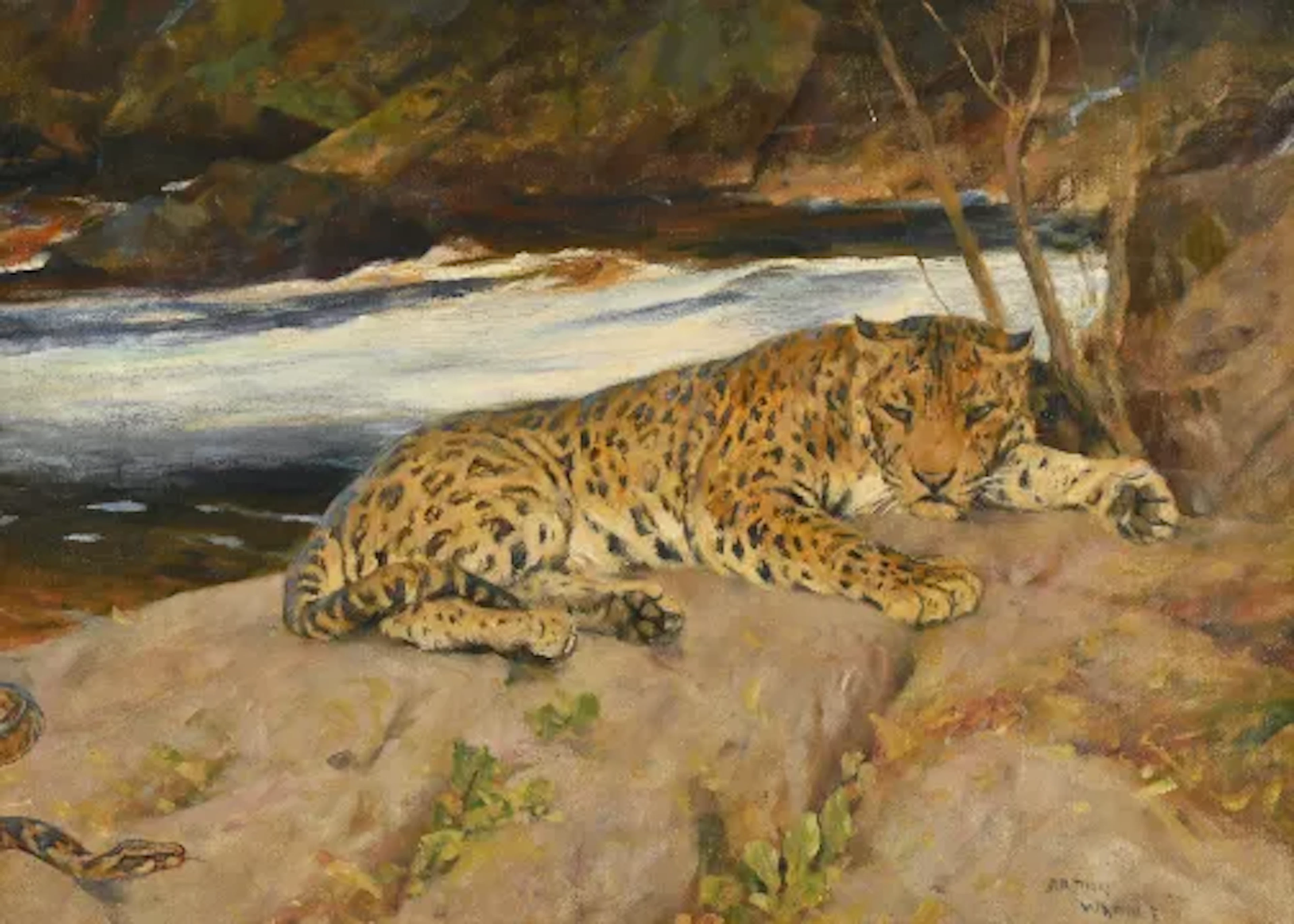 ARTHUR WARDLE (BRITISH 1864-1949), LEOPARD RESTING