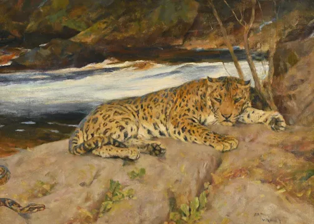 ARTHUR WARDLE (BRITISH 1864-1949), LEOPARD RESTING