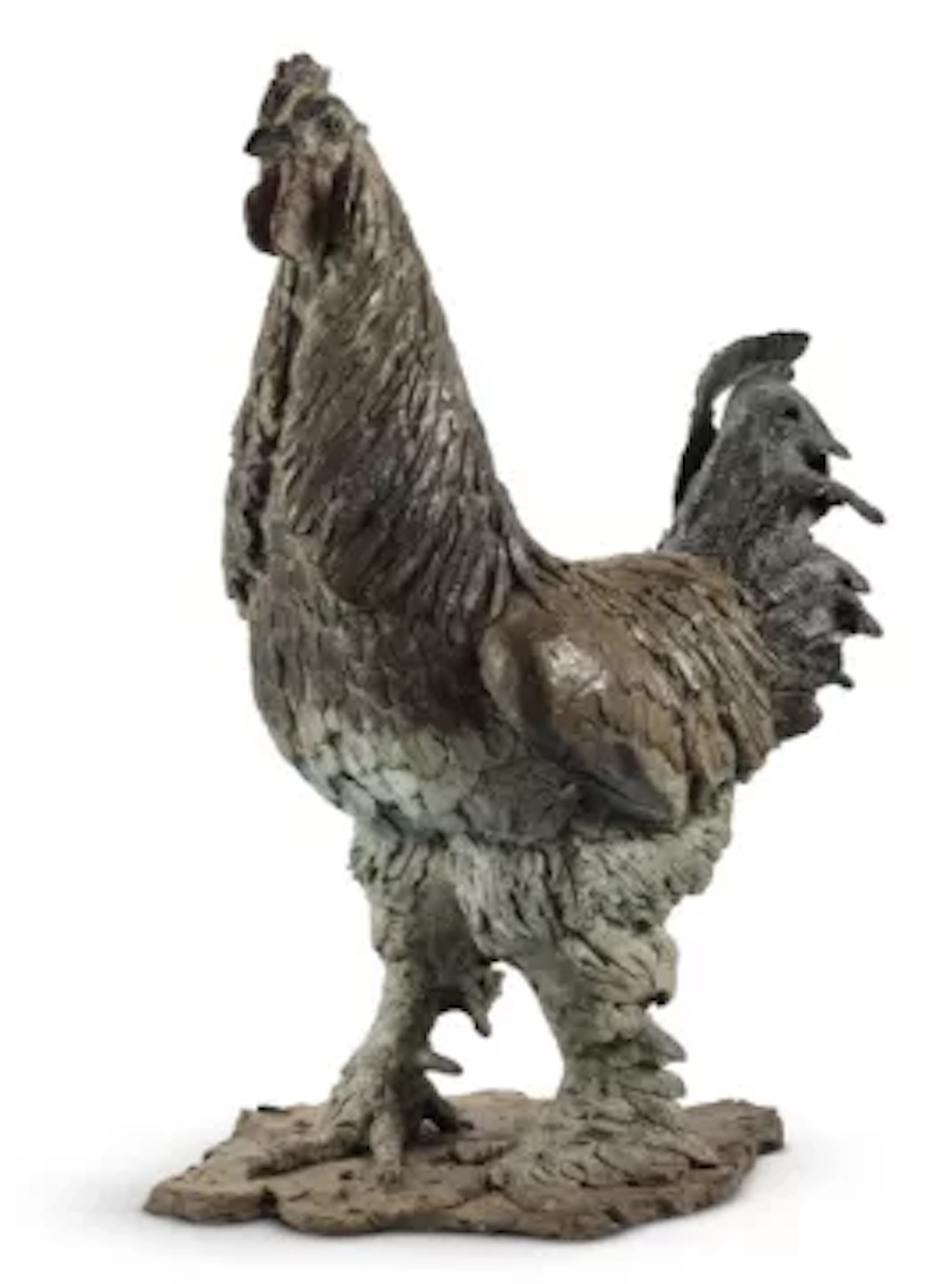 λ HAMISH MACKIE (BRITISH, B.1973), CHICKEN, BRAHMA COCKEREL