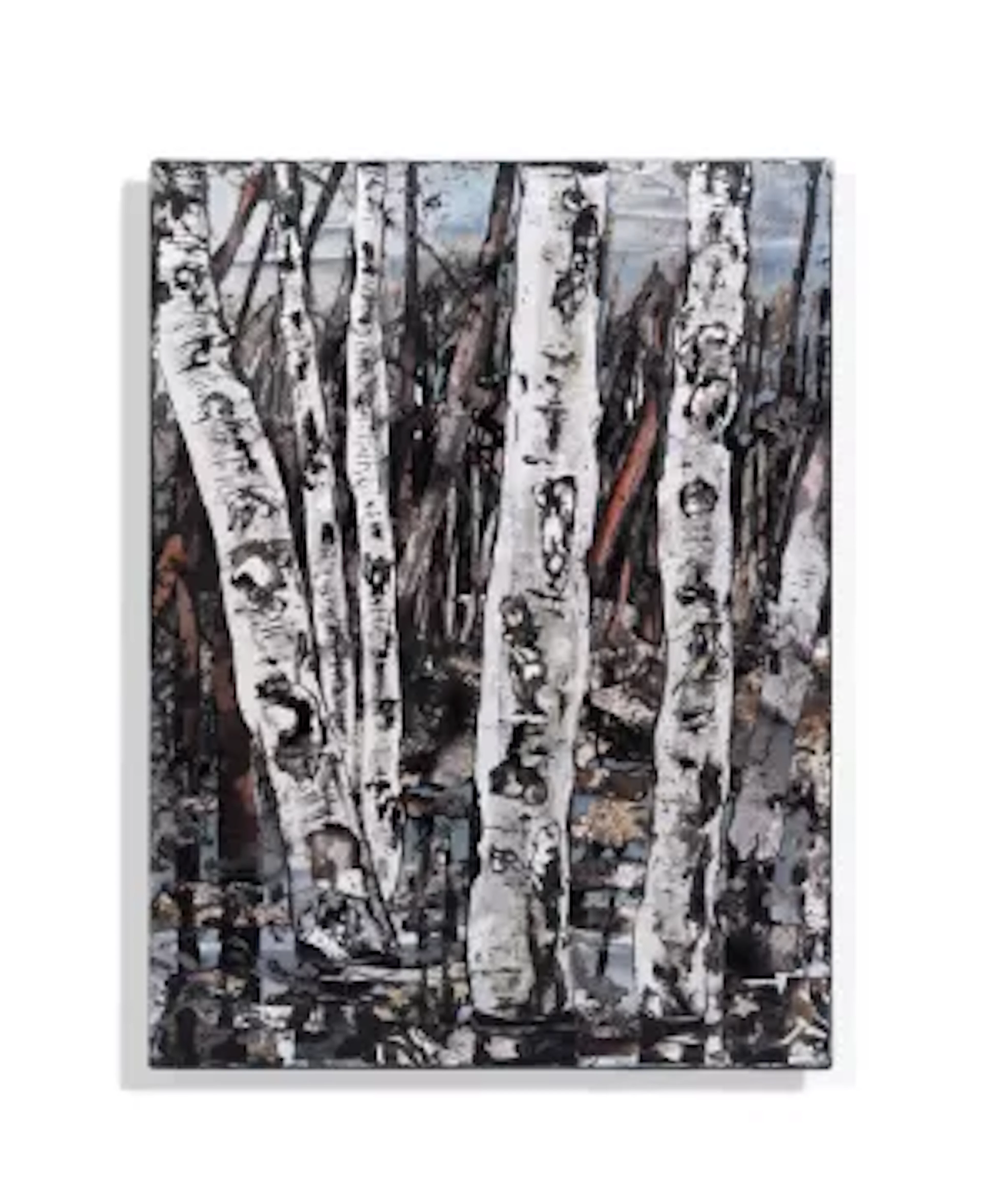 λ JAAP DE VRIES (DUTCH 1959-2014) BIRCH (NO. 6)