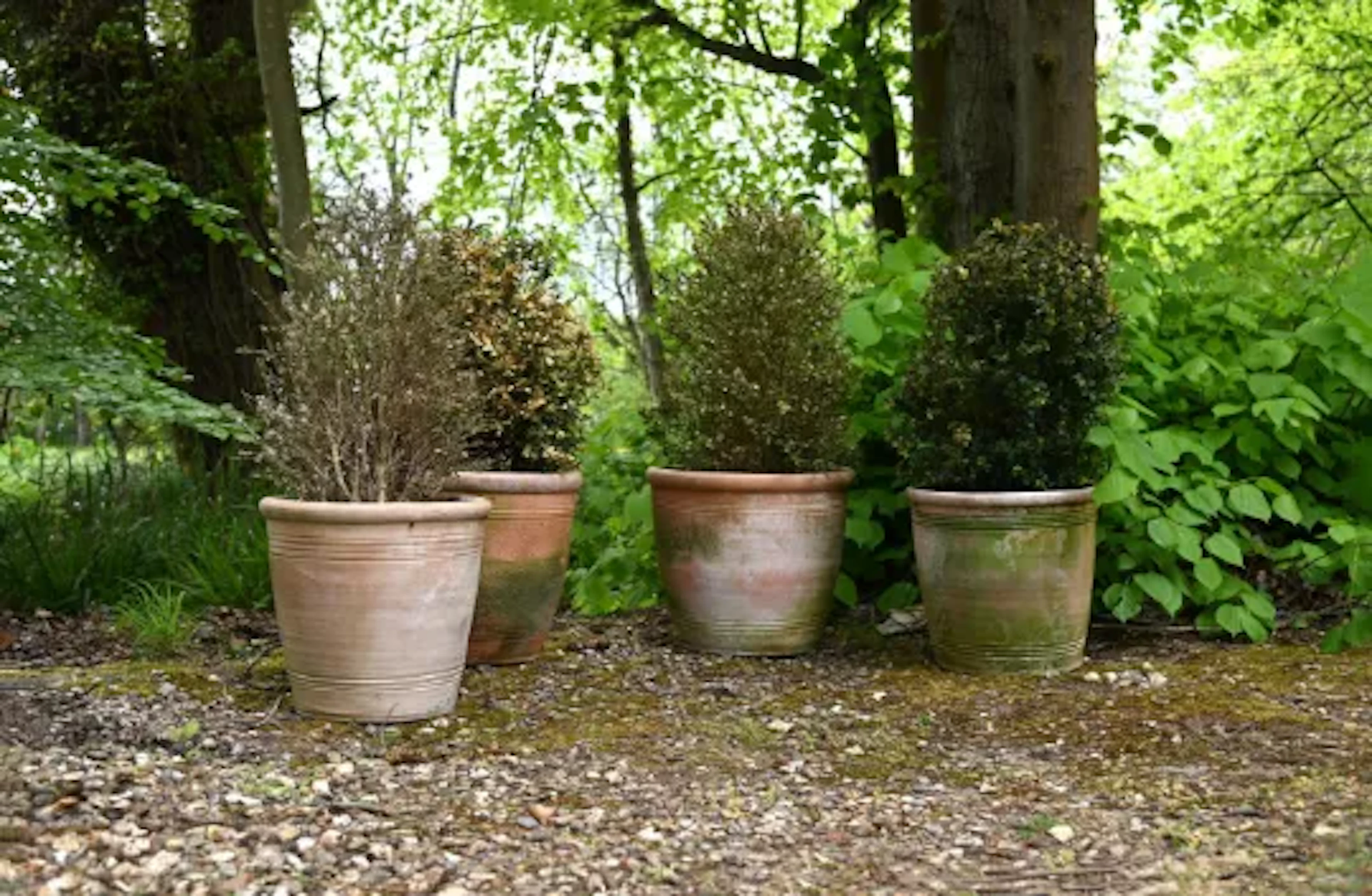 TWO PAIRS OF TERRACOTTA PLANTERS, LATE 20TH CENTURY