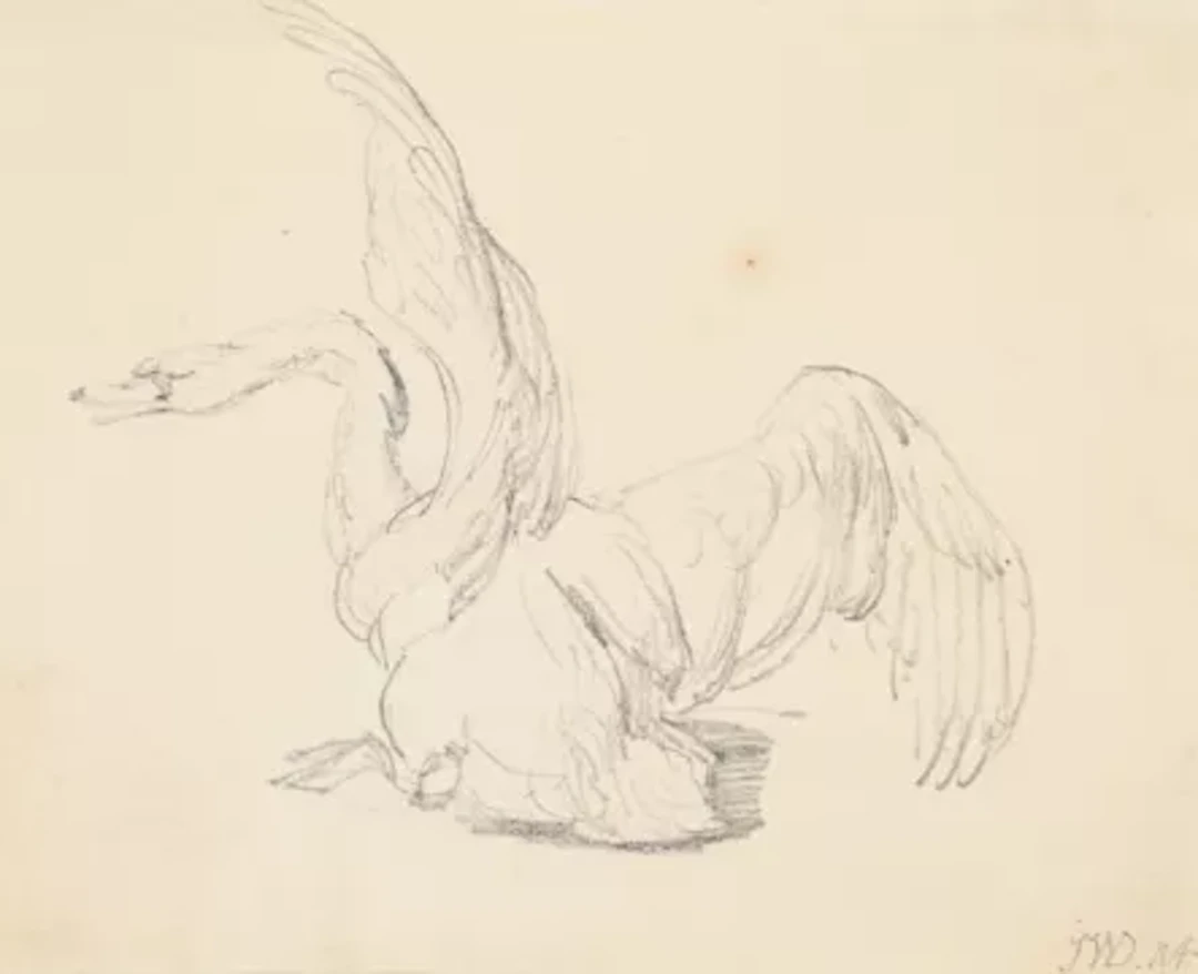 JAMES WARD, R.A. (BRITISH 1769-1859), STUDY OF A SWAN LANDING