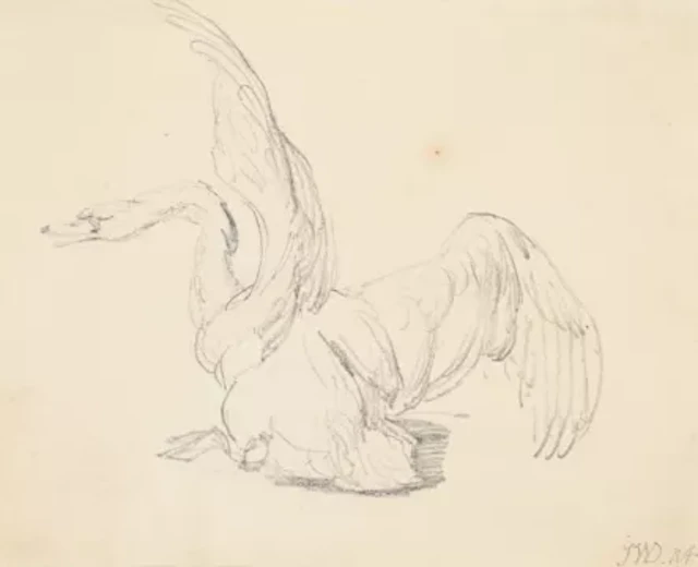 JAMES WARD, R.A. (BRITISH 1769-1859), STUDY OF A SWAN LANDING