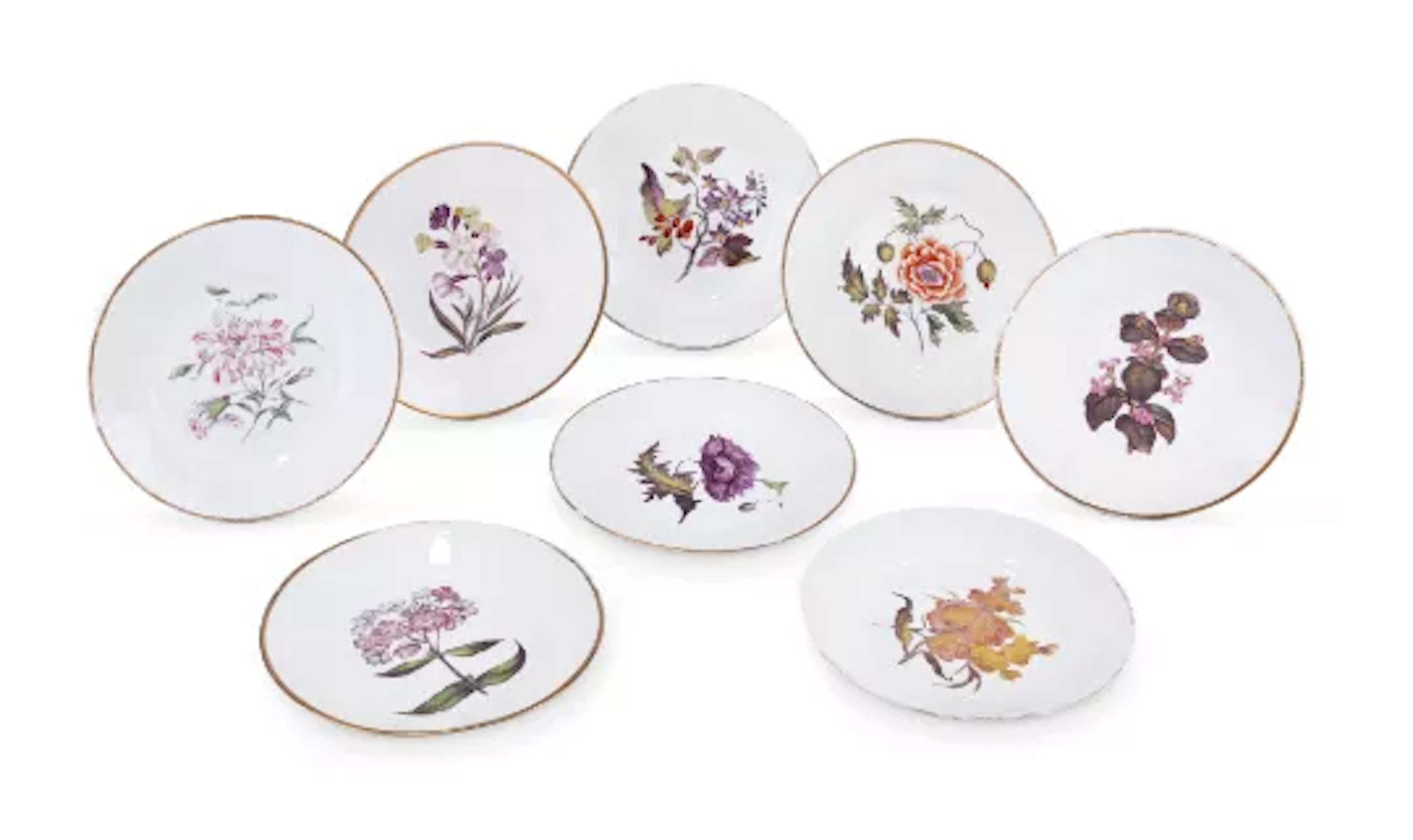 EIGHT DERBY BOTANICAL PLATES, CIRCA 1820