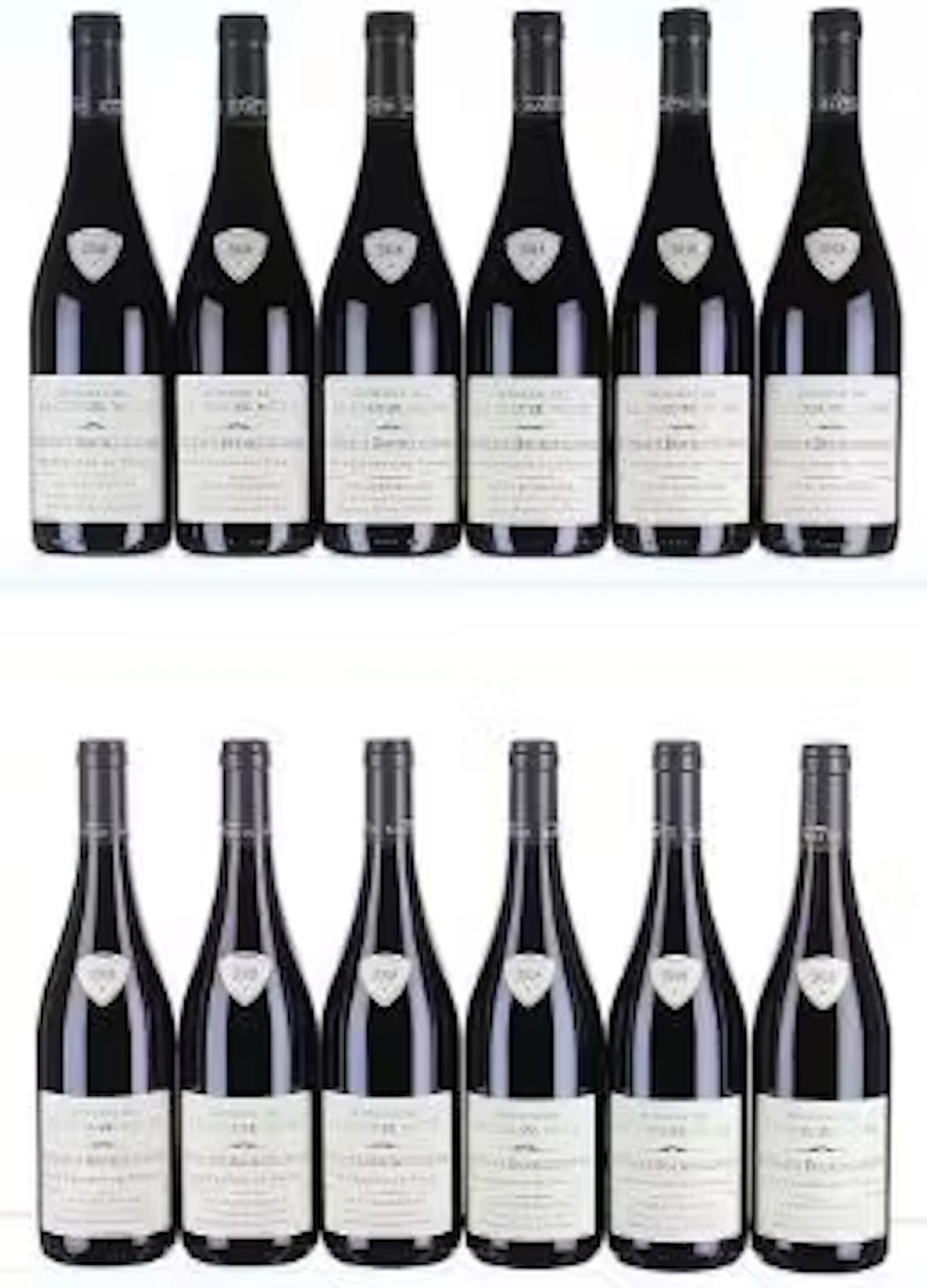 2018 Domaine de la Creuze Noir, Coteaux Bourguignons, Les Champs de Voisin