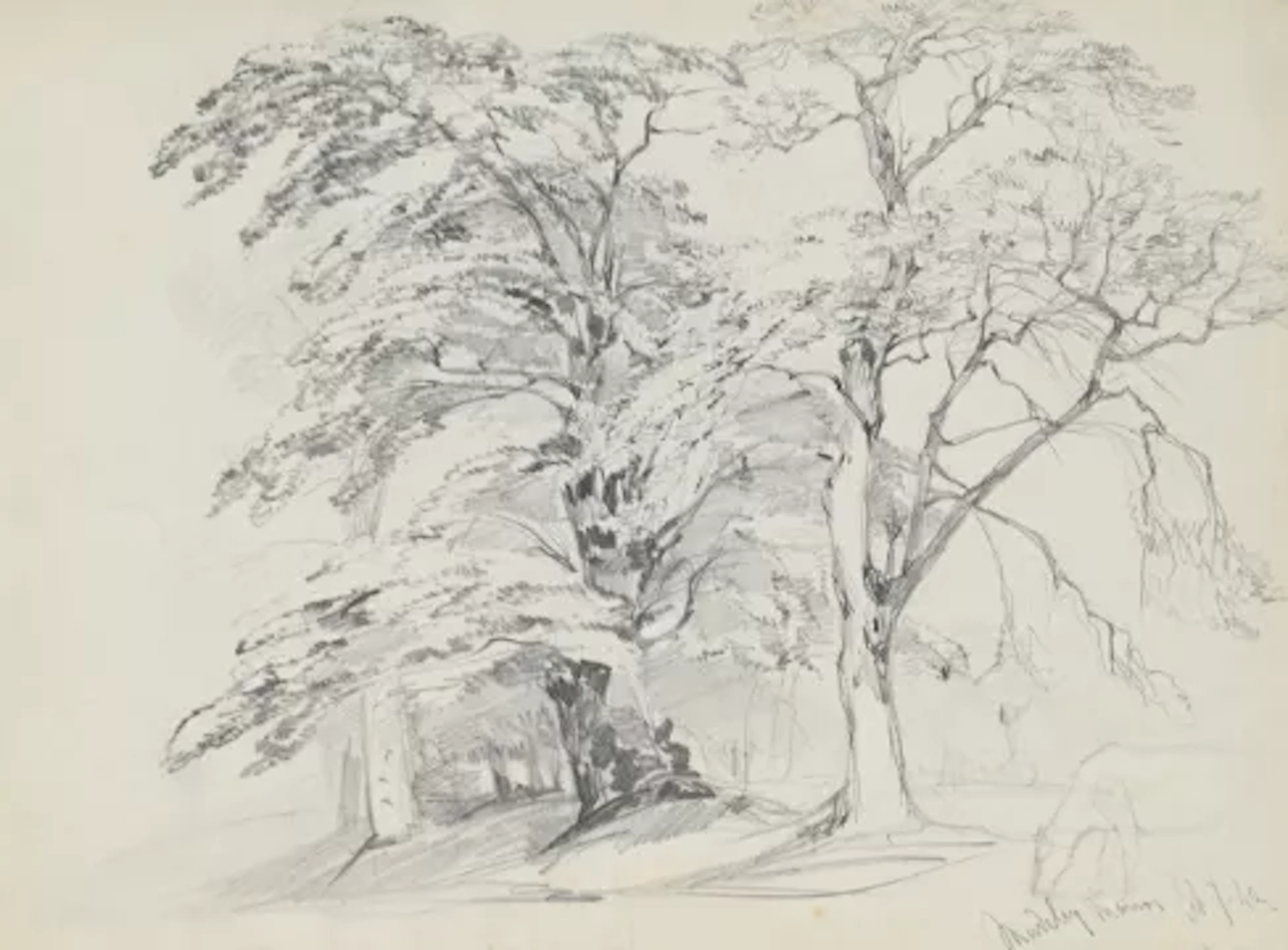 WILLIAM CALLOW, R.W.S. (BRITISH 1812-1908), TREES AT MADELEY MANOR