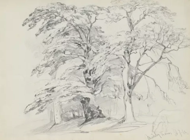WILLIAM CALLOW, R.W.S. (BRITISH 1812-1908), TREES AT MADELEY MANOR