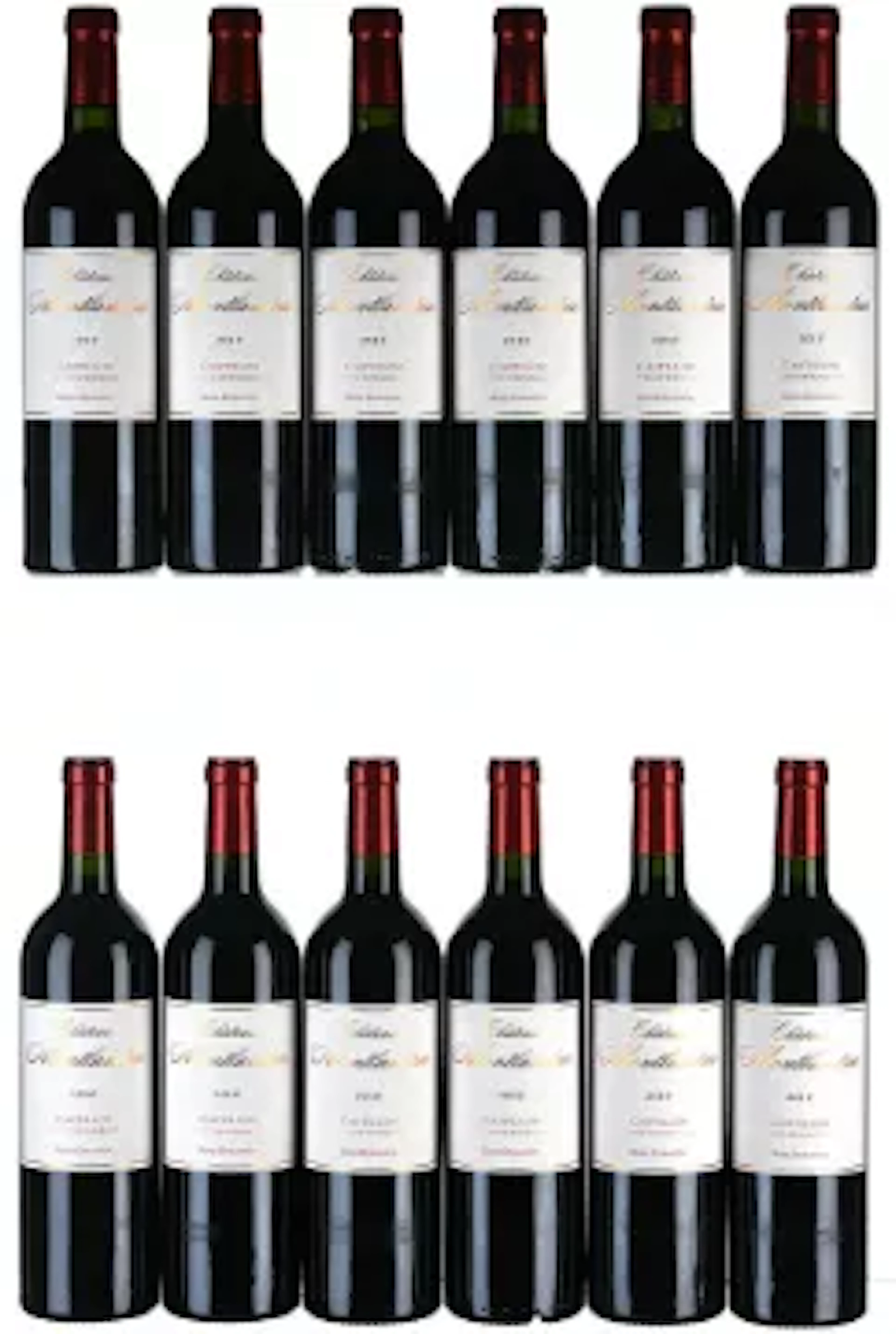 2010 Chateau Montlandrie, Castillon-Cotes de Bordeaux