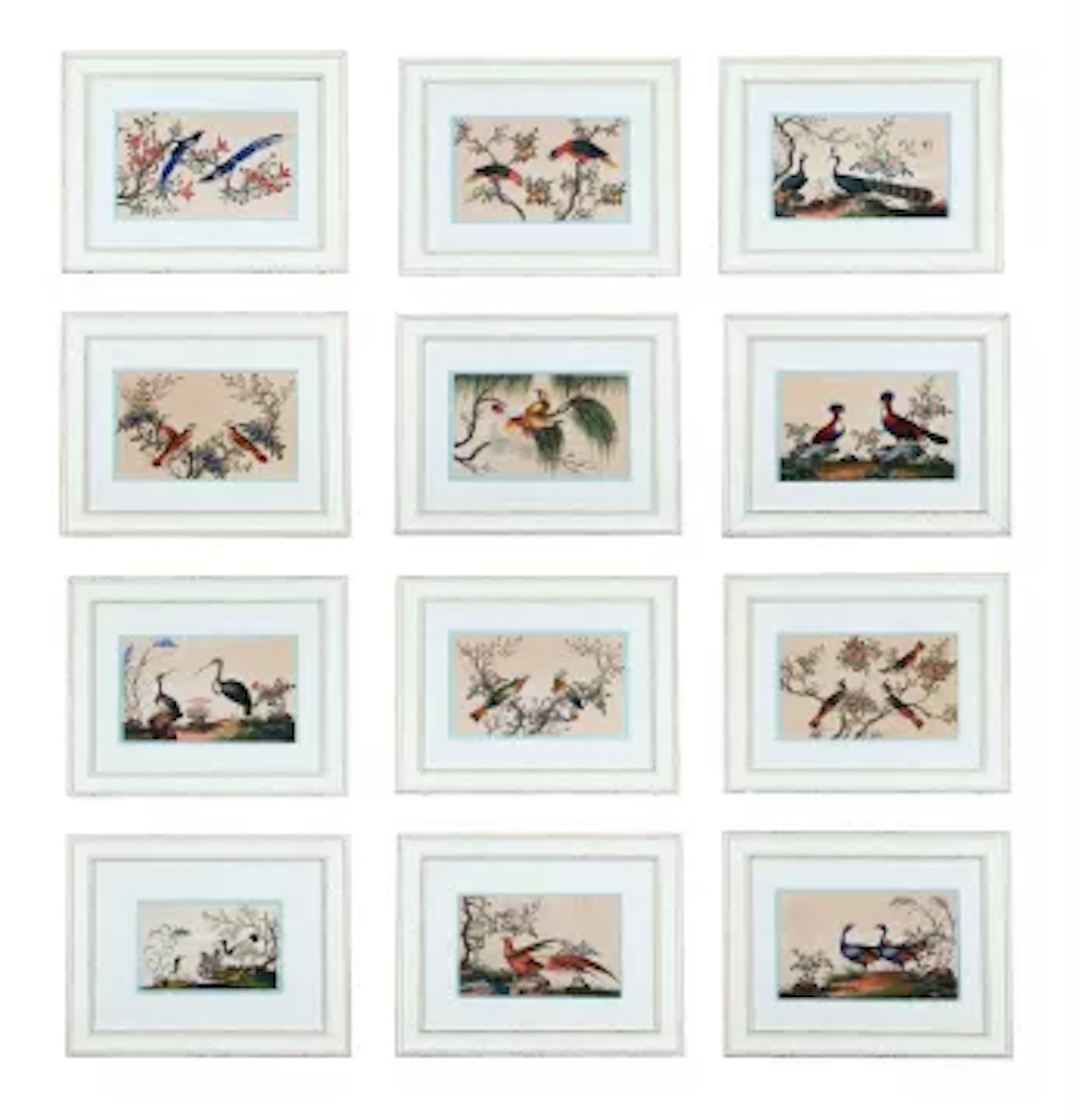 A GROUP OF TWELVE CHINESE PITH PAPER PAINTINGS OF BIRDS, 19TH CENTURY