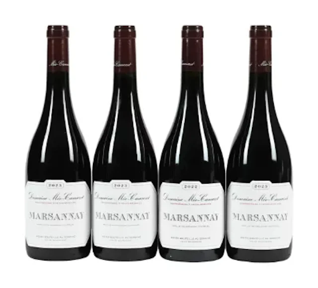 2022/2023 Domaine Meo Camuzet, Marsannay