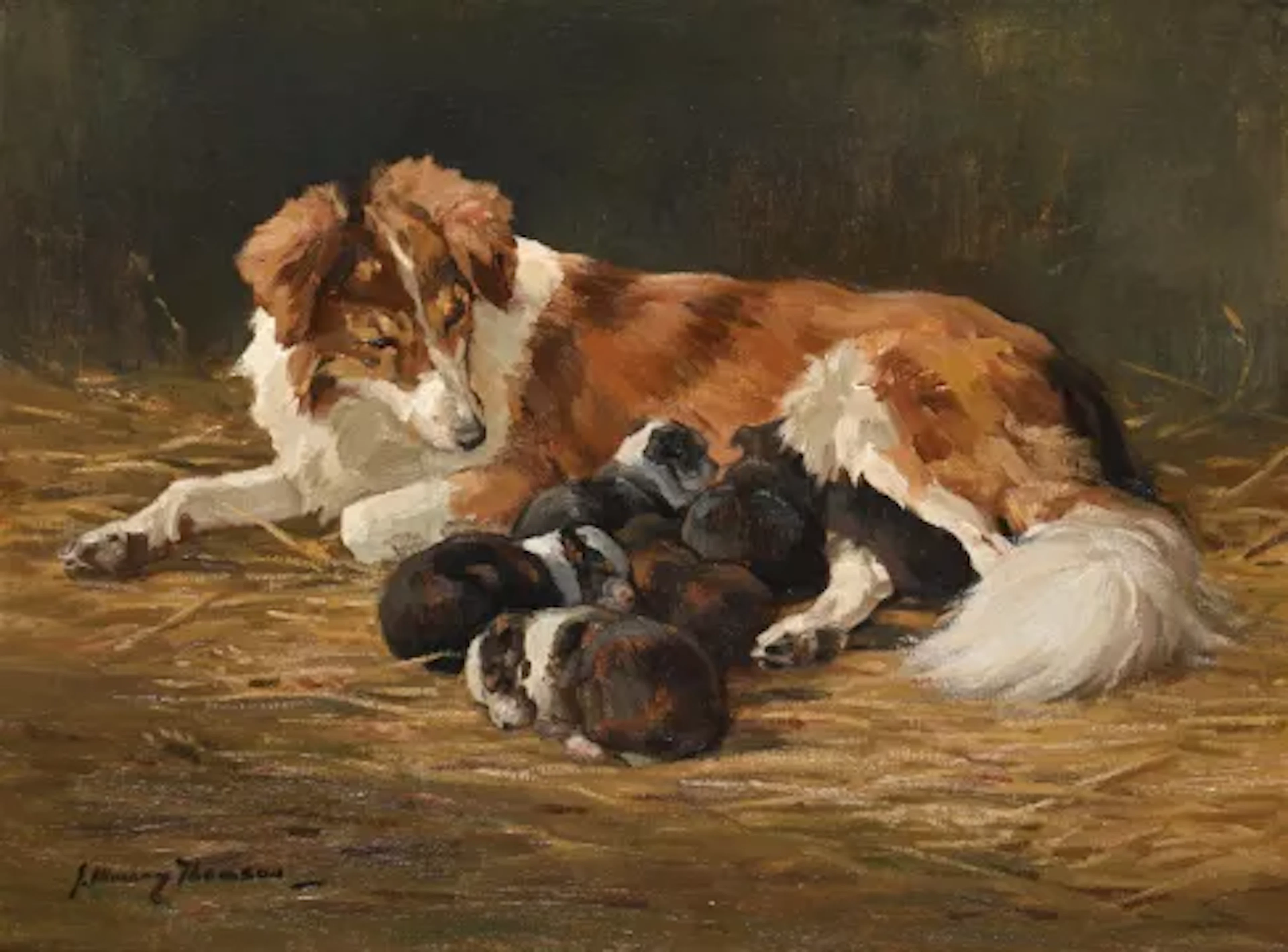 λ JOHN MURRAY THOMSON (BRITISH 1885-1974), A MOTHER AND PUPS